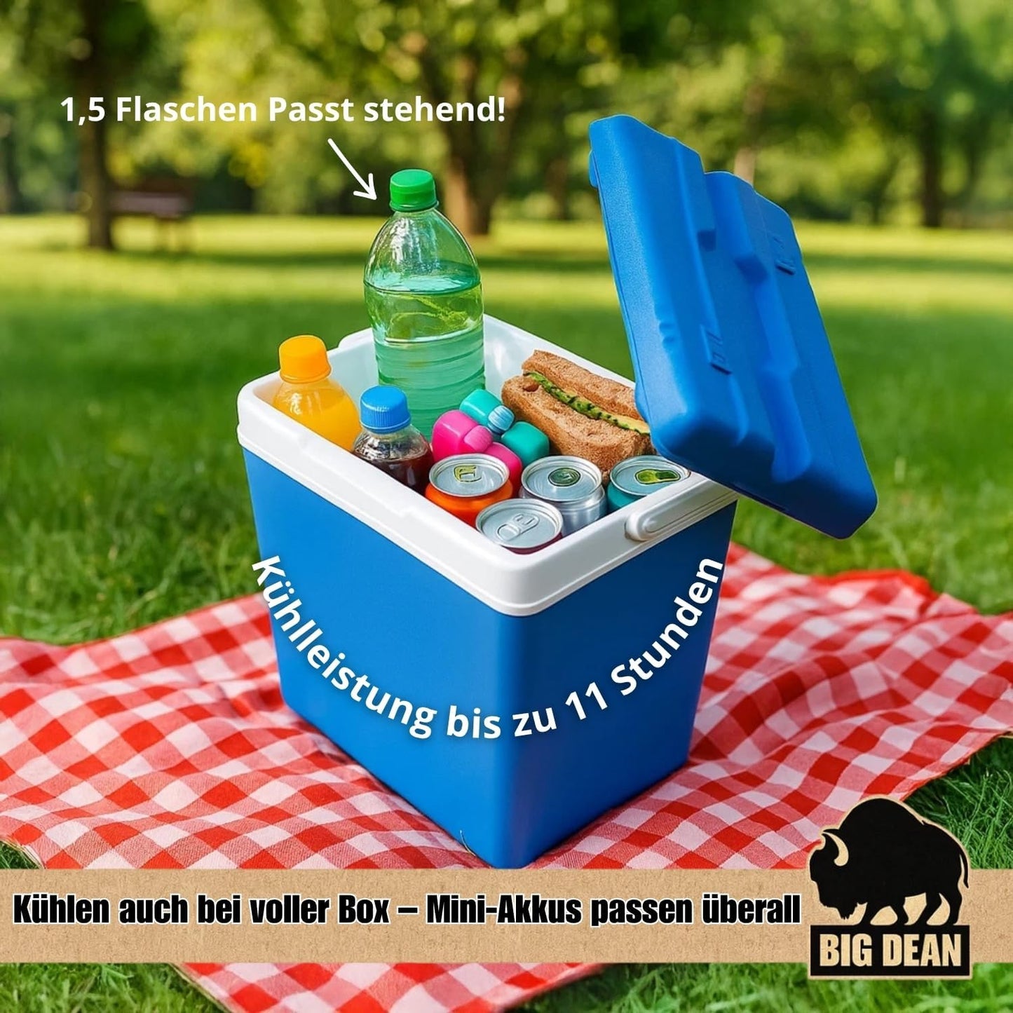 Kühlbox mit 12 Kühlakkus