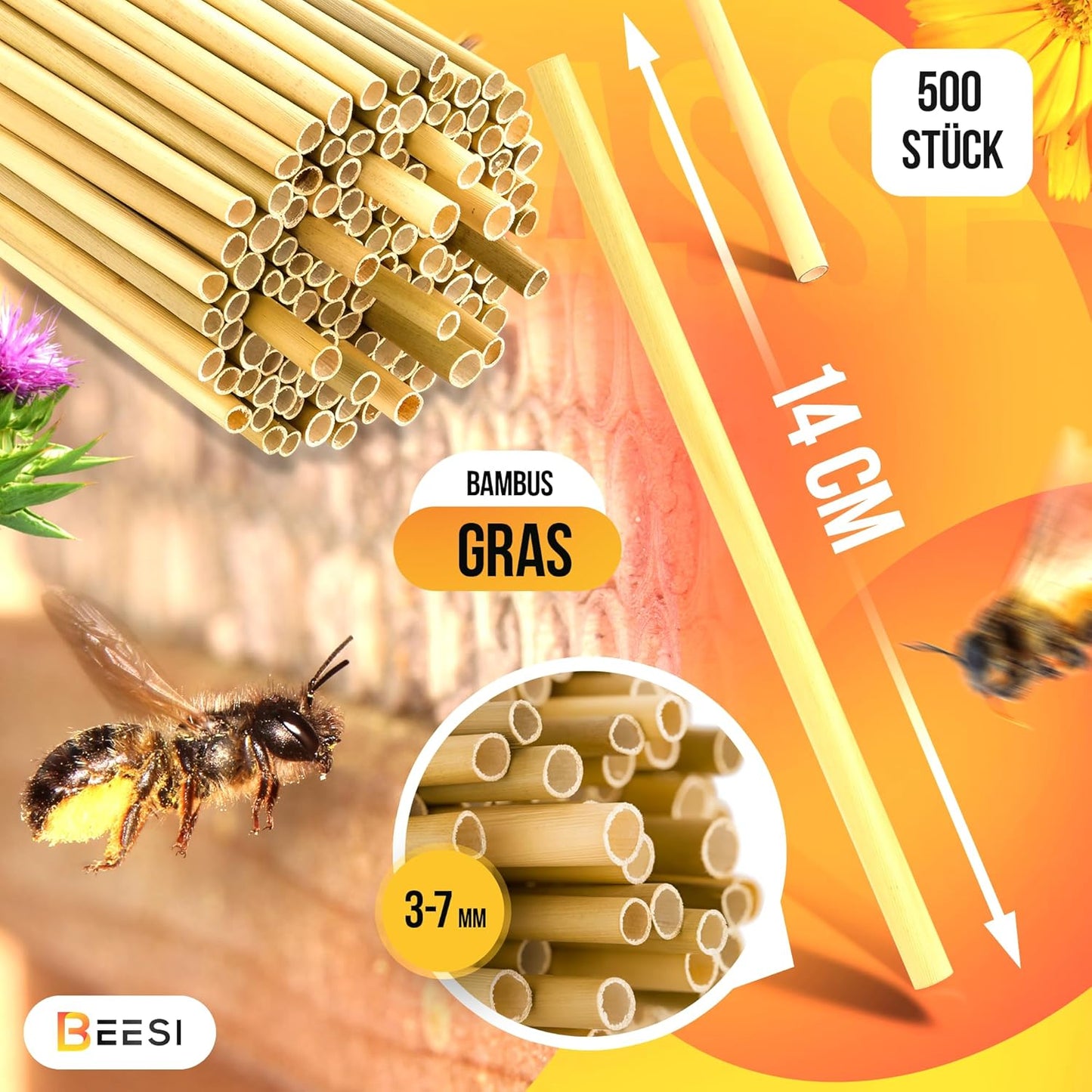 Bambusrohre für Insektenhotel
