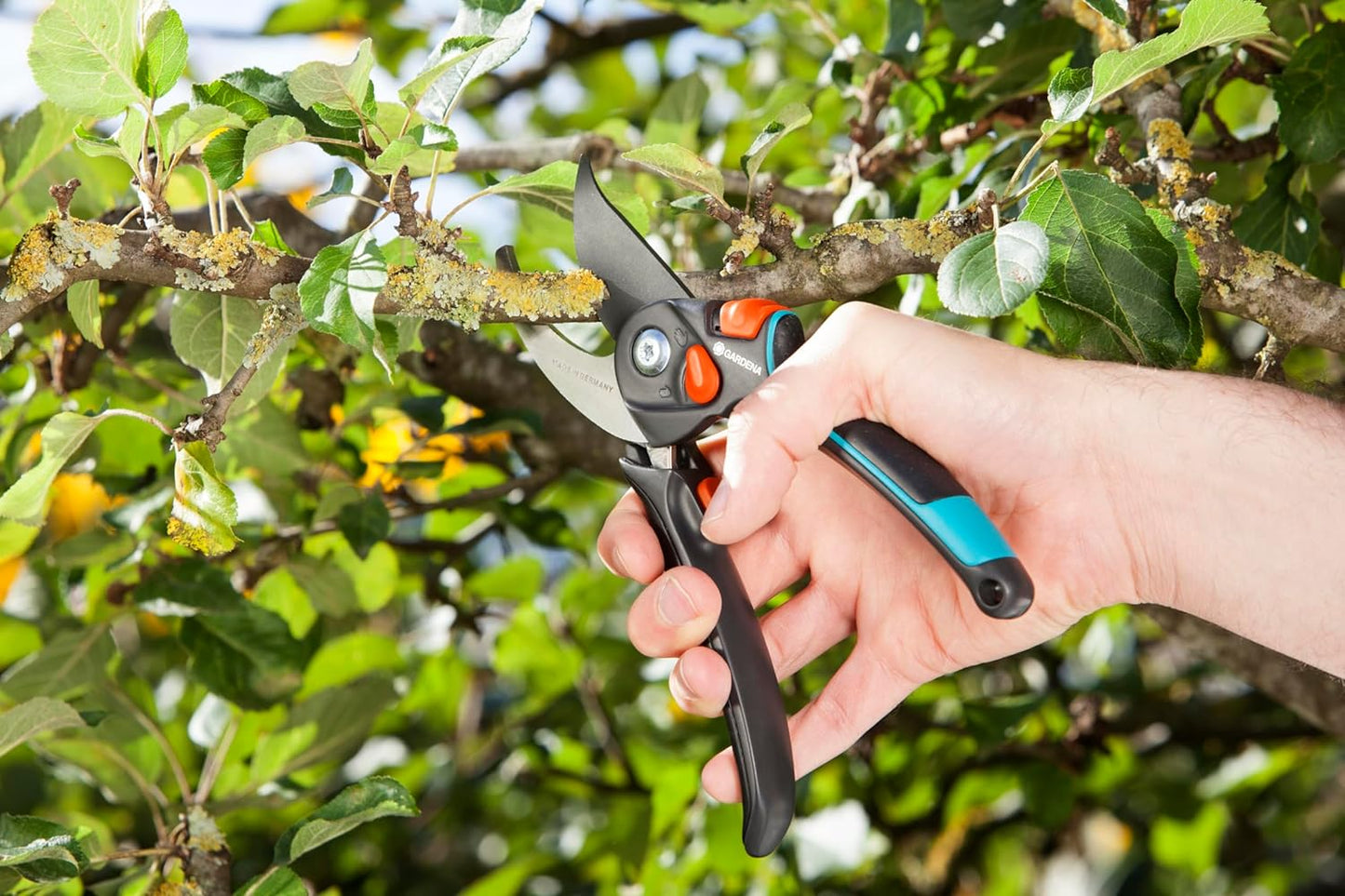 Gartenschere B/S XL, Single