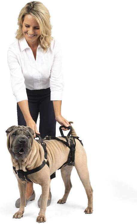 Ganzkörper-Hundegeschirr, Large (Pack of 1)
