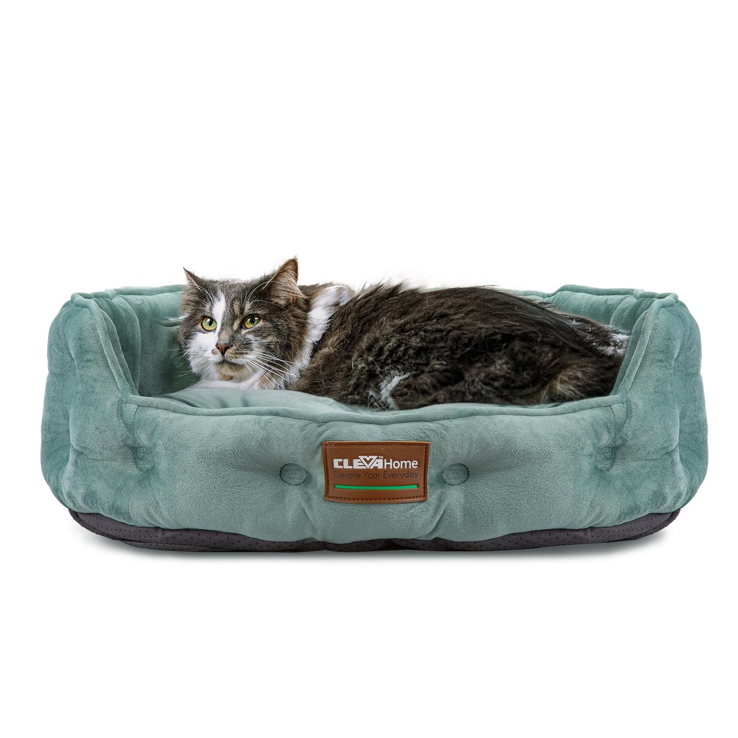 Haustierbett für Katzen & kleine Hunde, Salbeigrün