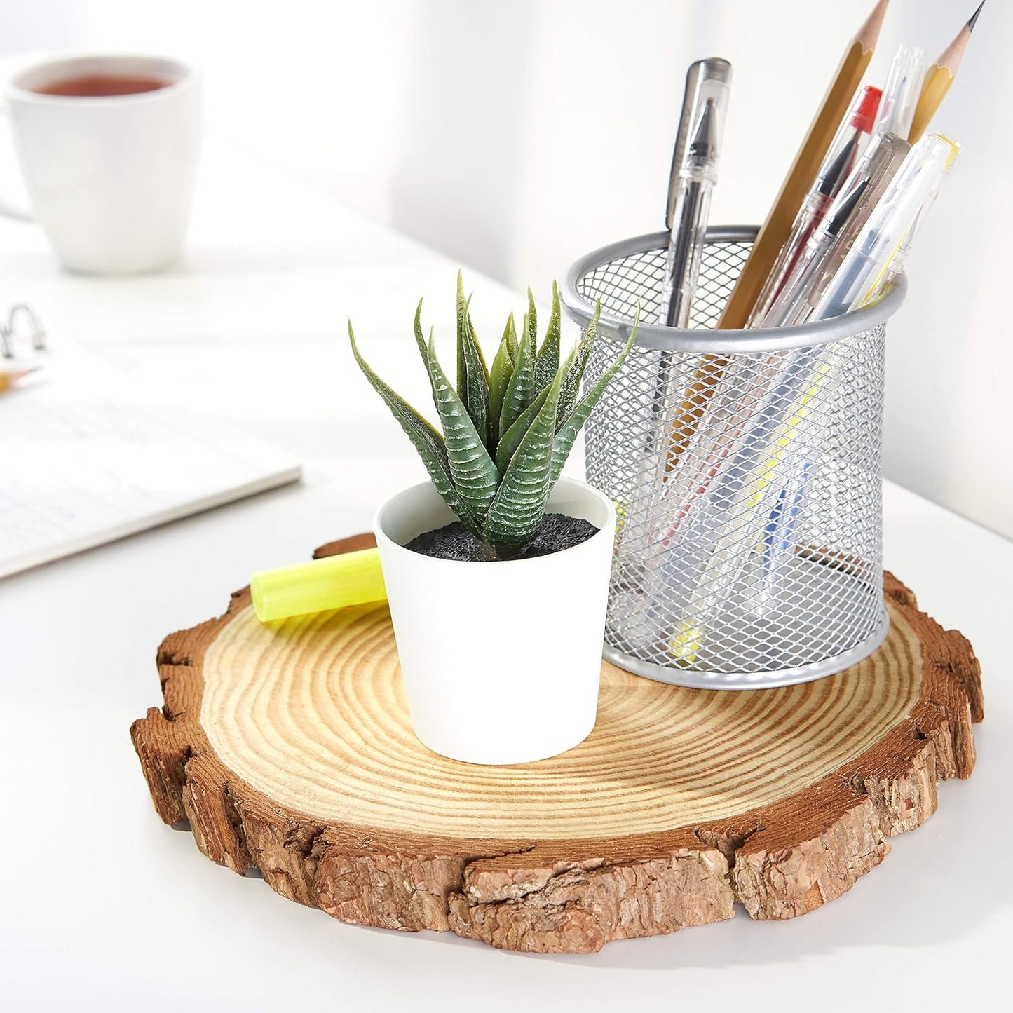 Runde Holzscheiben für Handwerk & Deko, youth large / 11-13