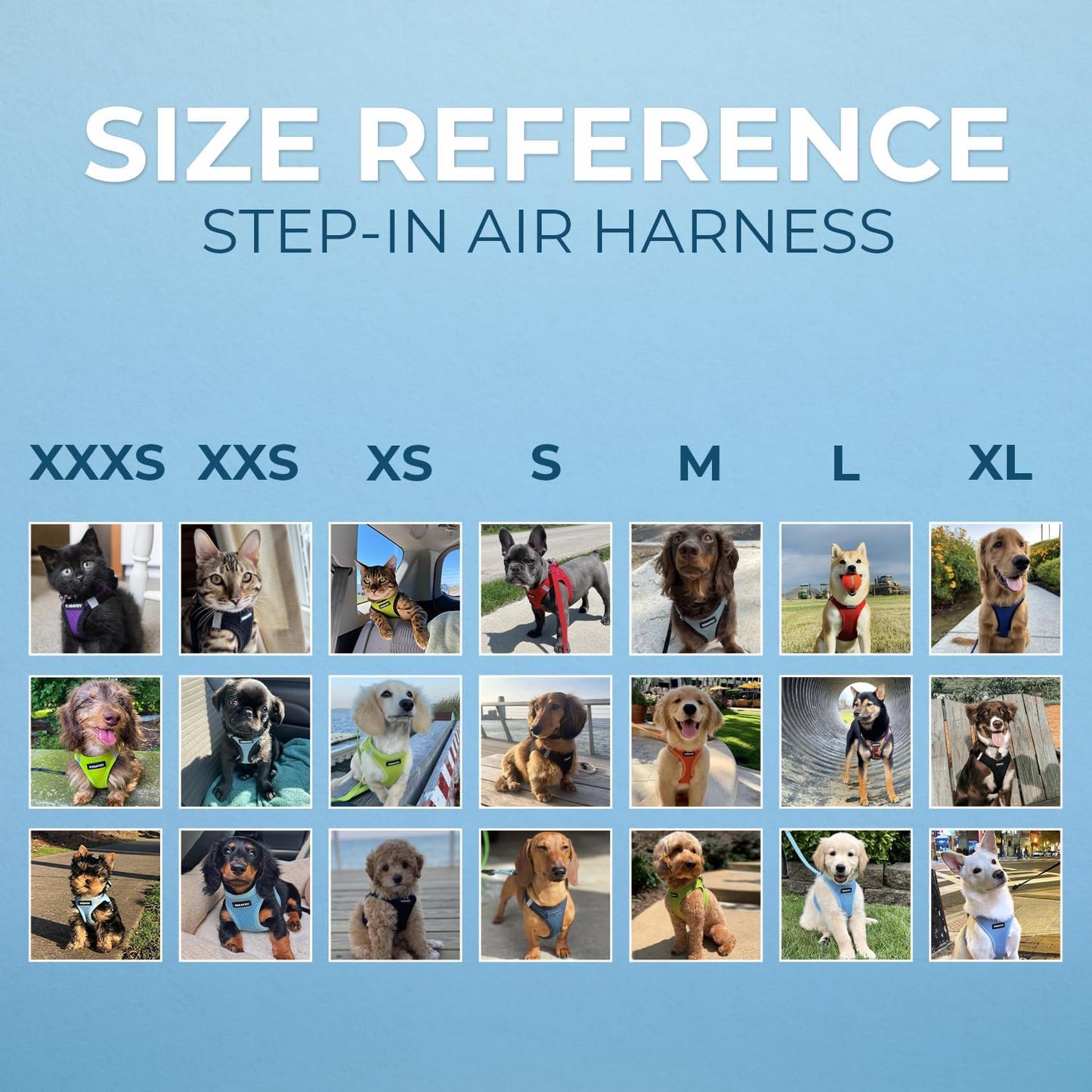 Step-in-Air Hundegeschirr, Geschirr (Königsblau) XXXS (Chest: 9.5\ -10.5\" * Fit Cats) "