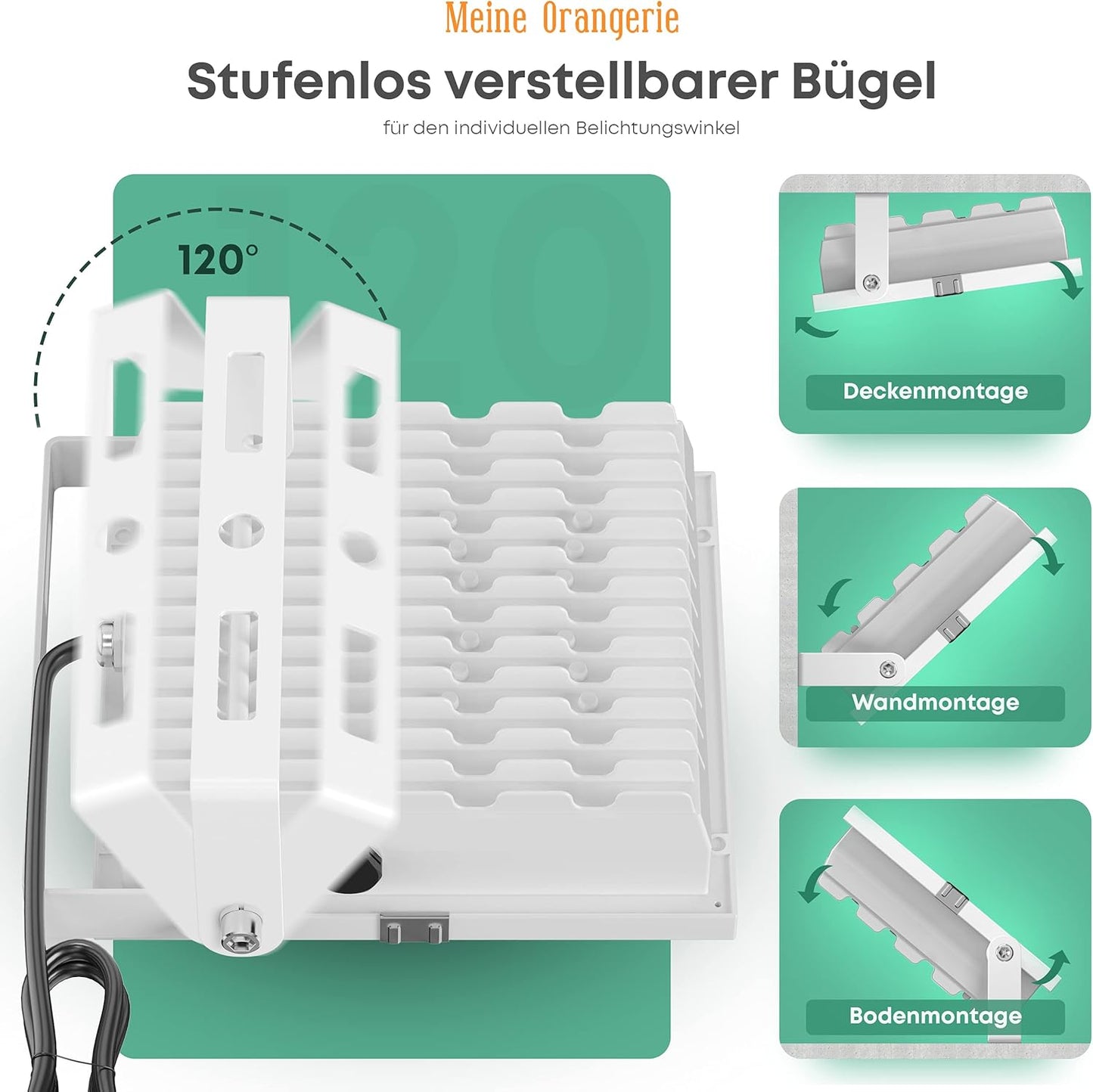 Pflanzenlicht