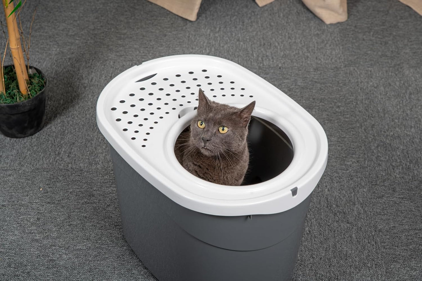 TECL-20 Katzentoilette geschlossen mit Schaufel, Grau Mittel