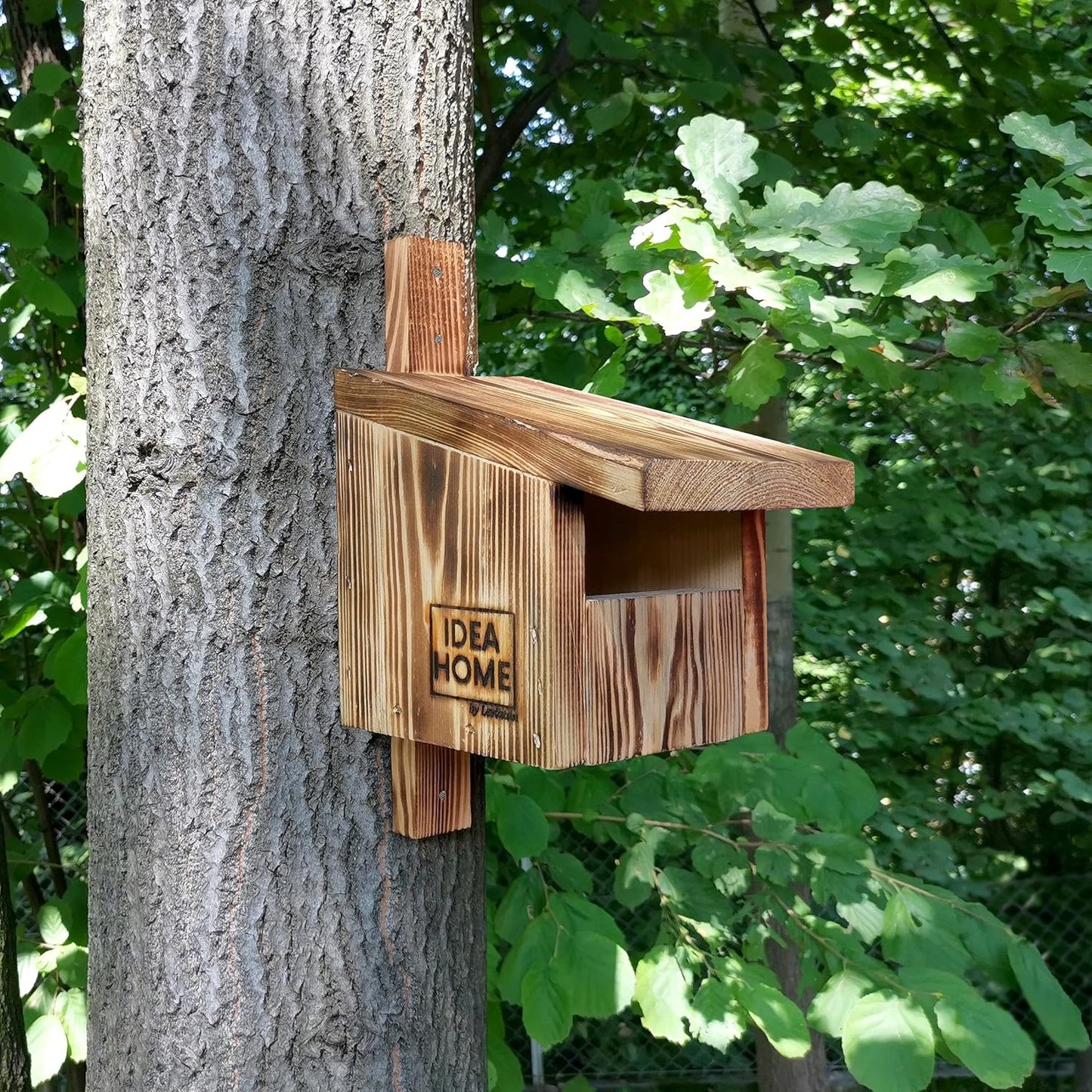 Vogel-Nistkasten Halbhöhle aus Massivholz, Rotkehlchen