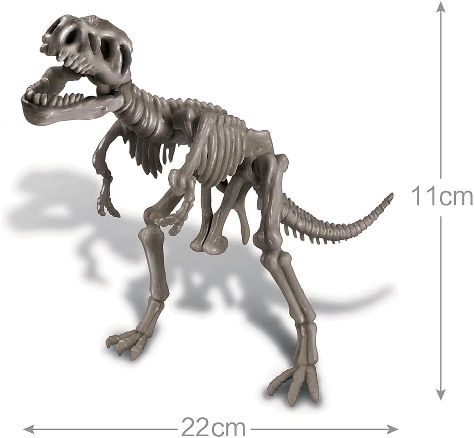 Dinosaur World, Dinosaurierwelt
