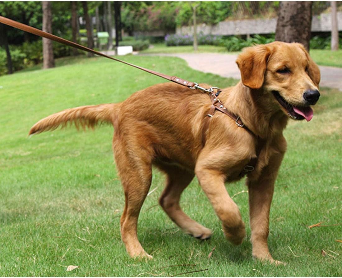 Verstellbares Hundegeschirr, S-Brust 34-58cm braun