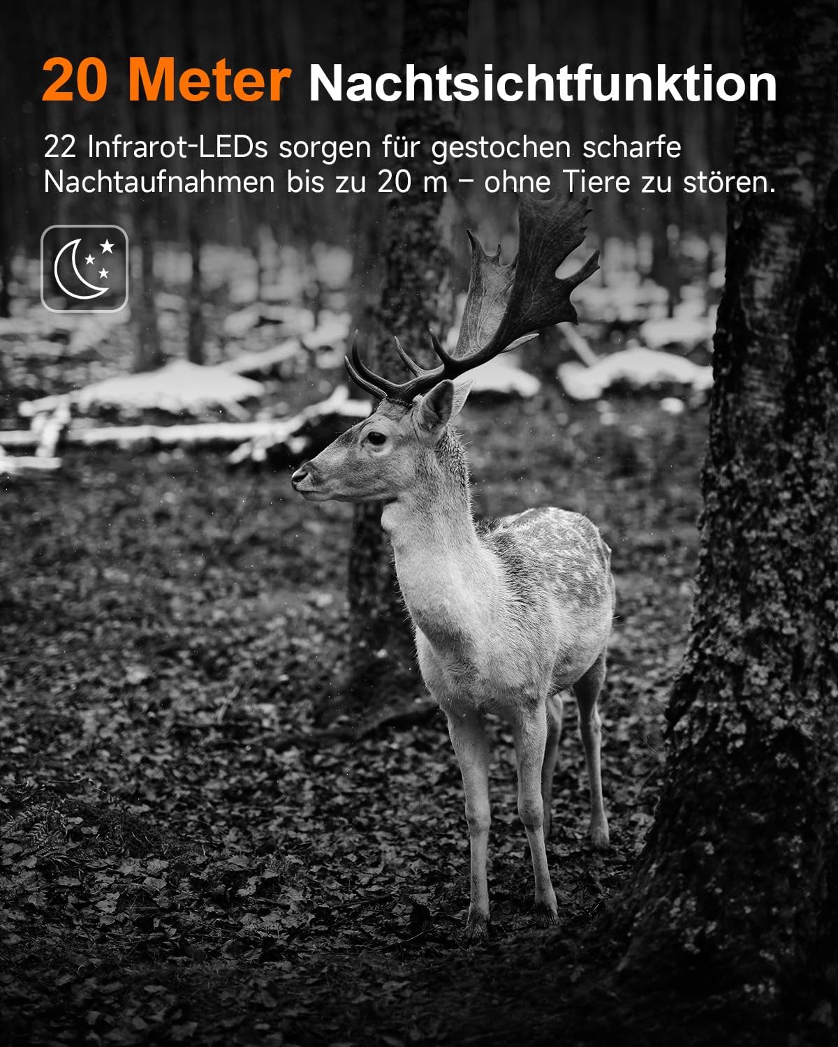 Wildtierkamera HD-30 mit Bewegungsmelder und Nachtsicht, Wildkamera 4K HD