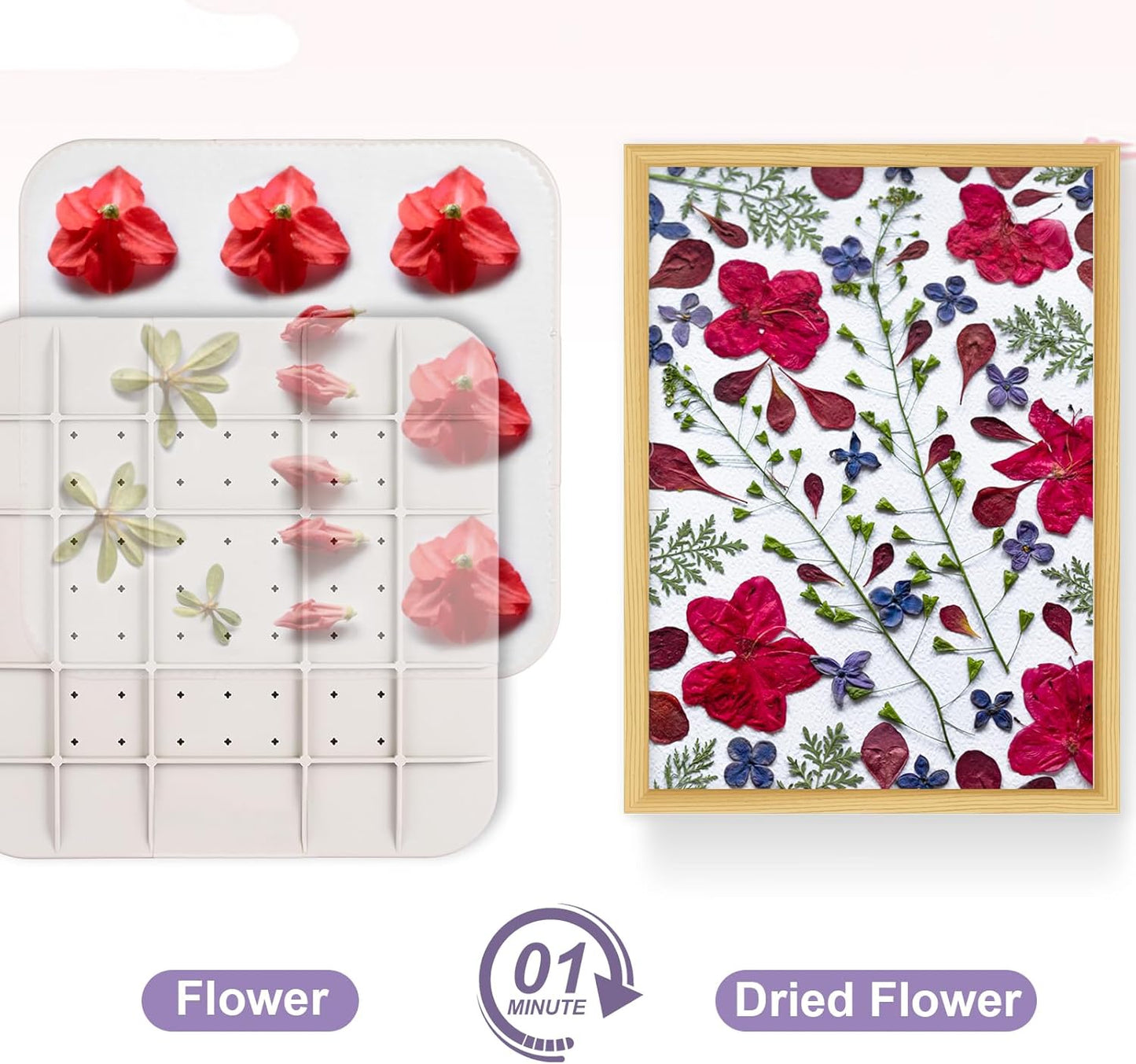 Blumenpresse für die Mikrowelle, Mittel