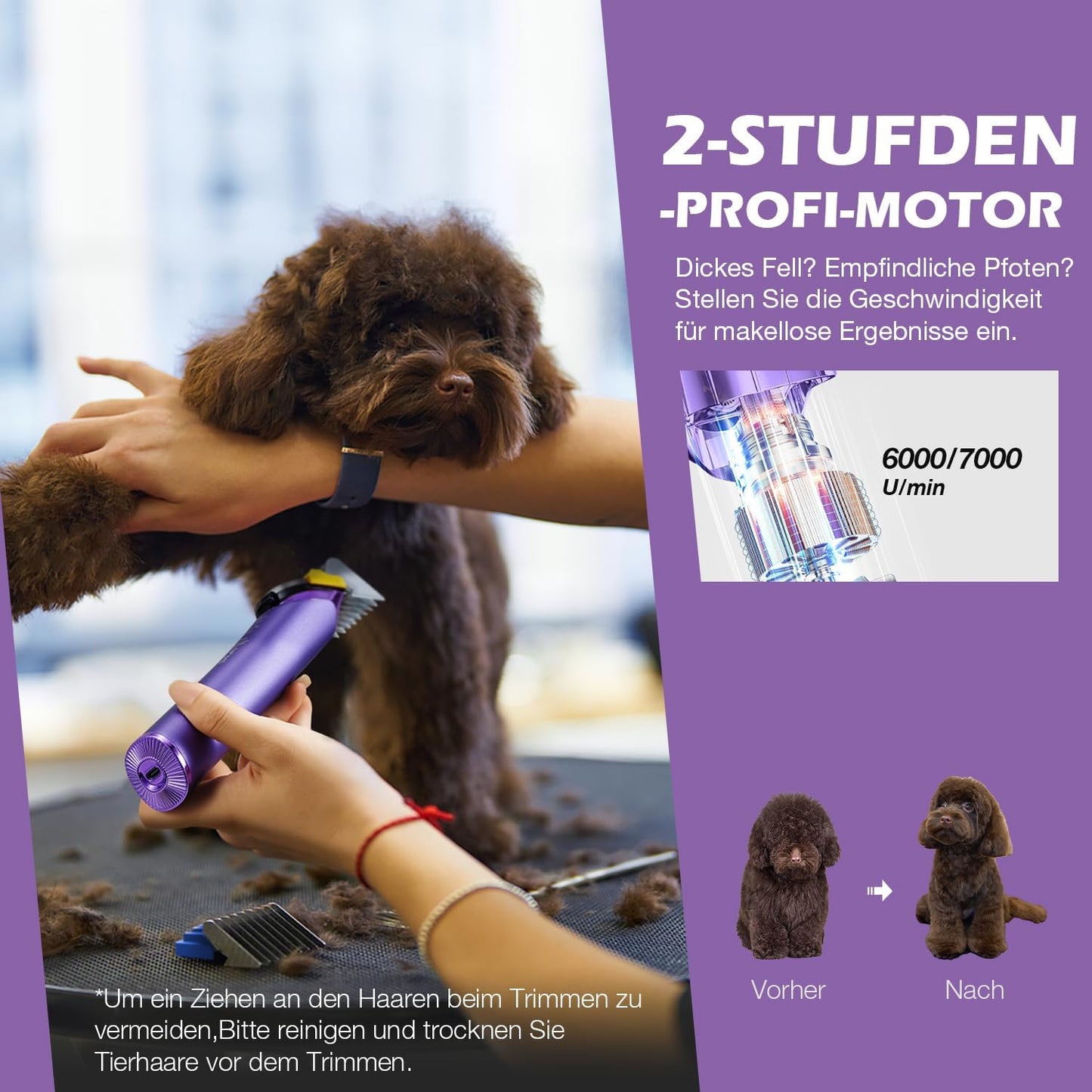 Hundeschermaschine mit Ersatzklinge und Aufsteckkämmen, Lila