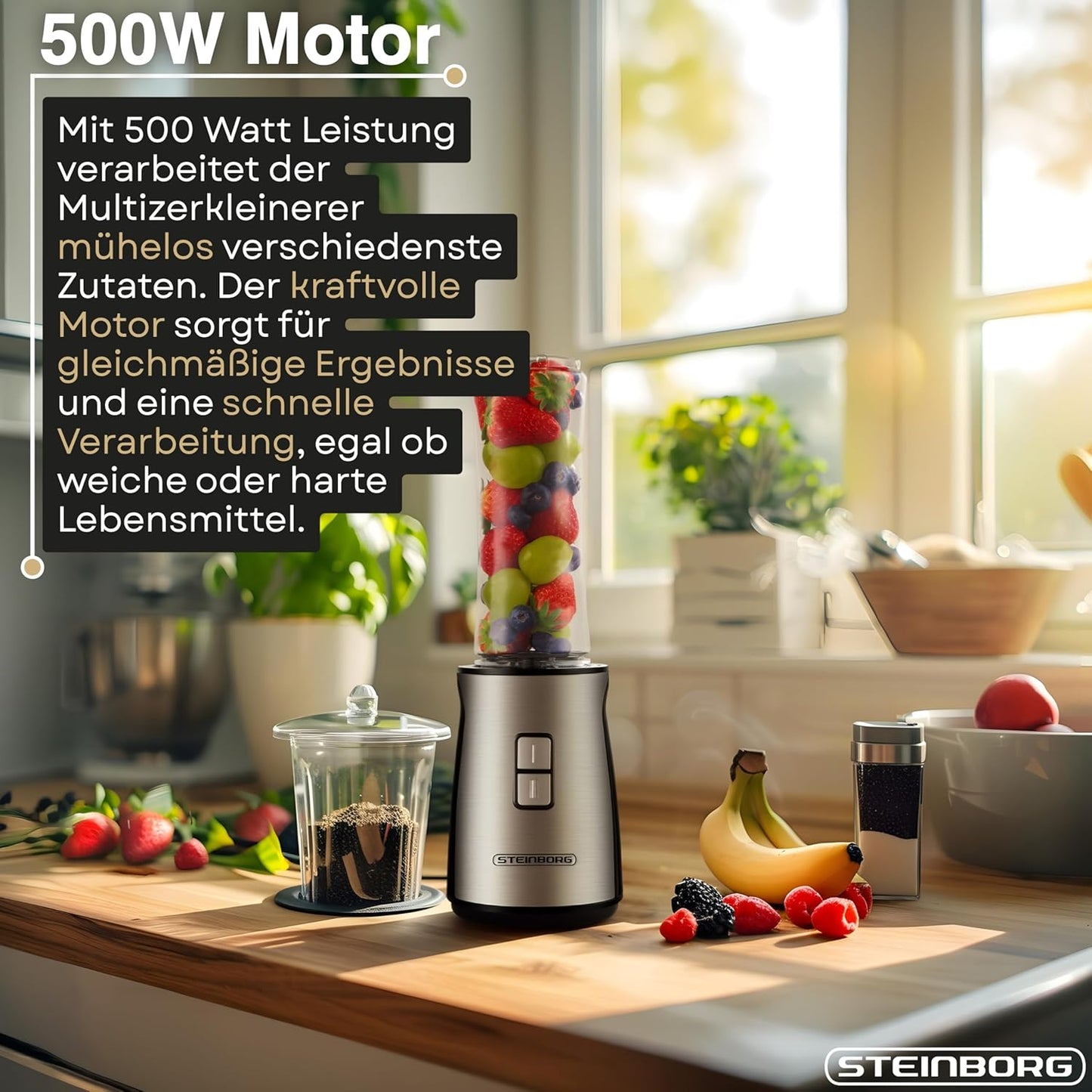 2in1 Standmixer & Multizerkleinerer Set