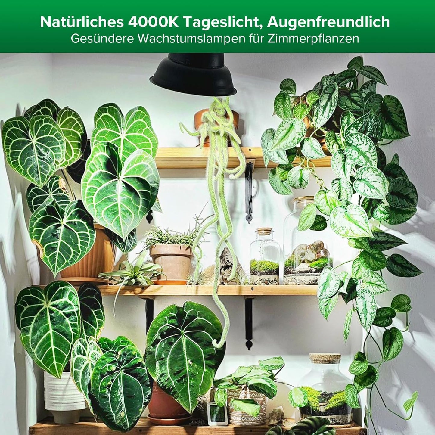 LED Light Birne, 10w Sämlingsperiode