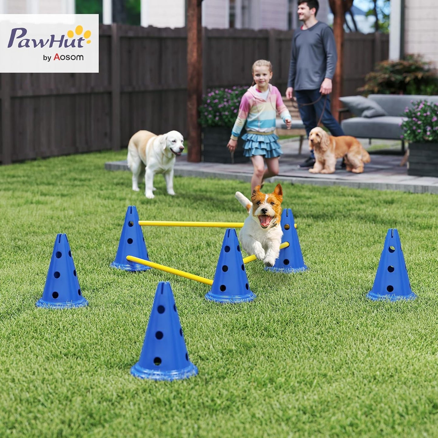 3-teiliges Agility-Trainingsset für Hunde, 3-teilig Blau
