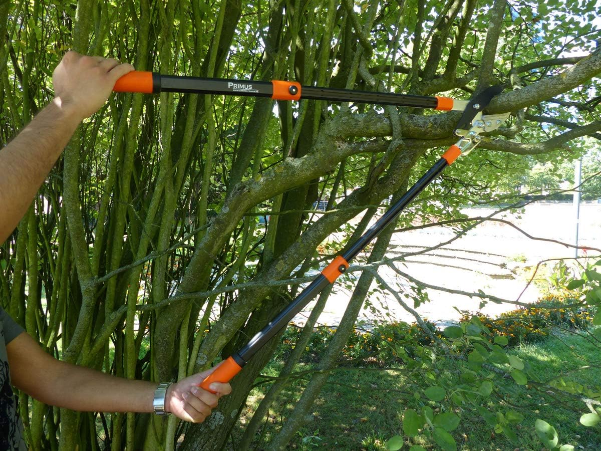Astschere mit Ratschenmechanismus 67 cm, Single