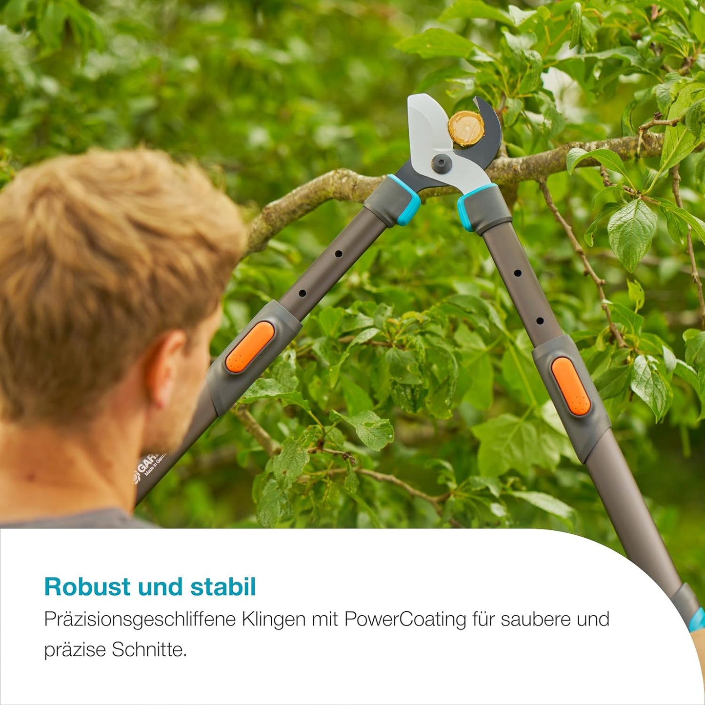Astschere TeleCut Pro L, 650-900mm