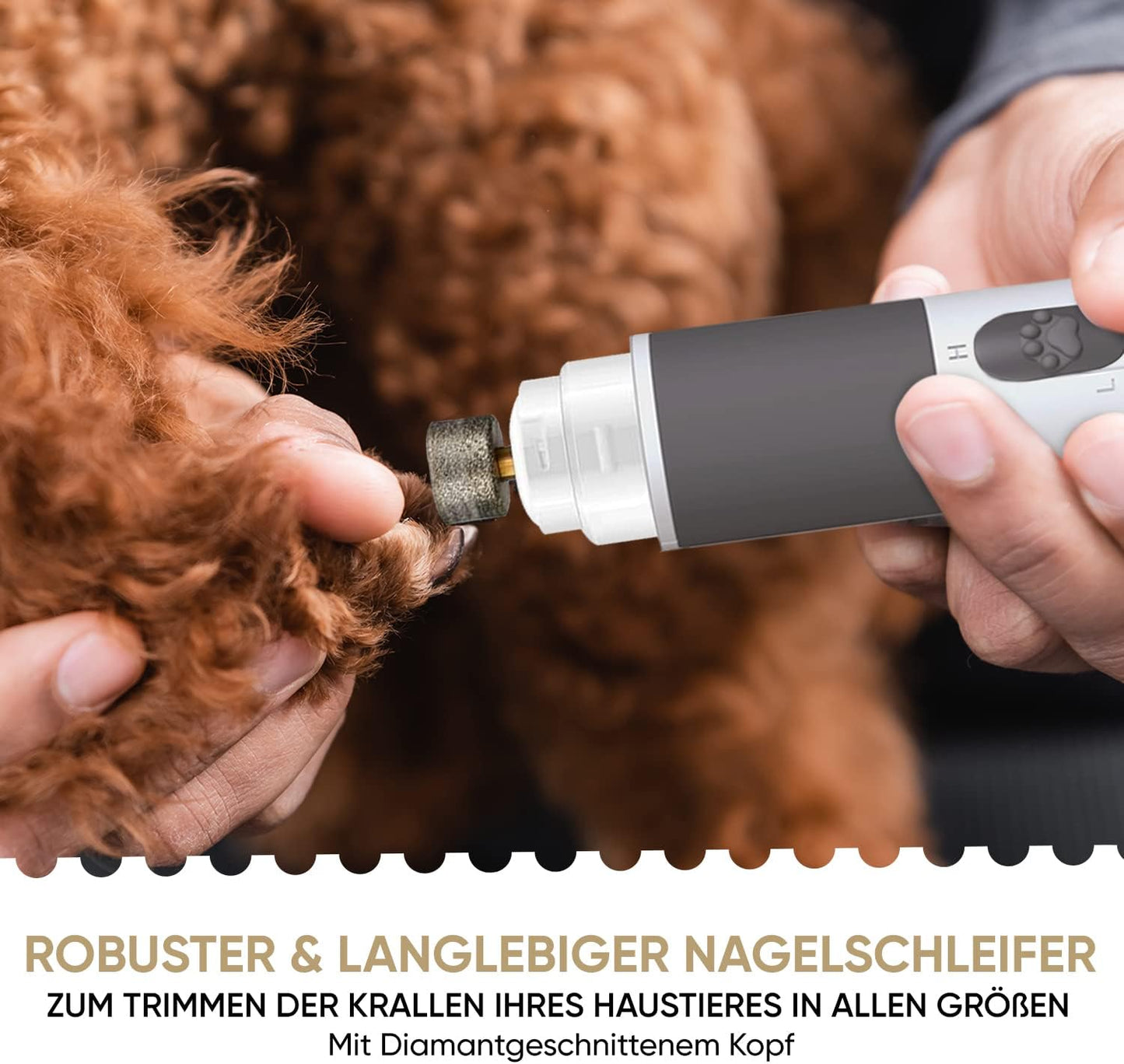 Krallenschleifer und Krallenscheren-Set