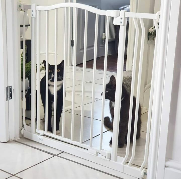 8372 Gebogenes Hundetor, 71cm - 80cm Weiss
