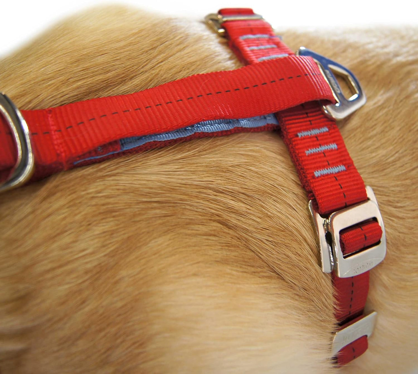 Autosicherheitsgeschirr für Hunde mit Autogurt, Grau S