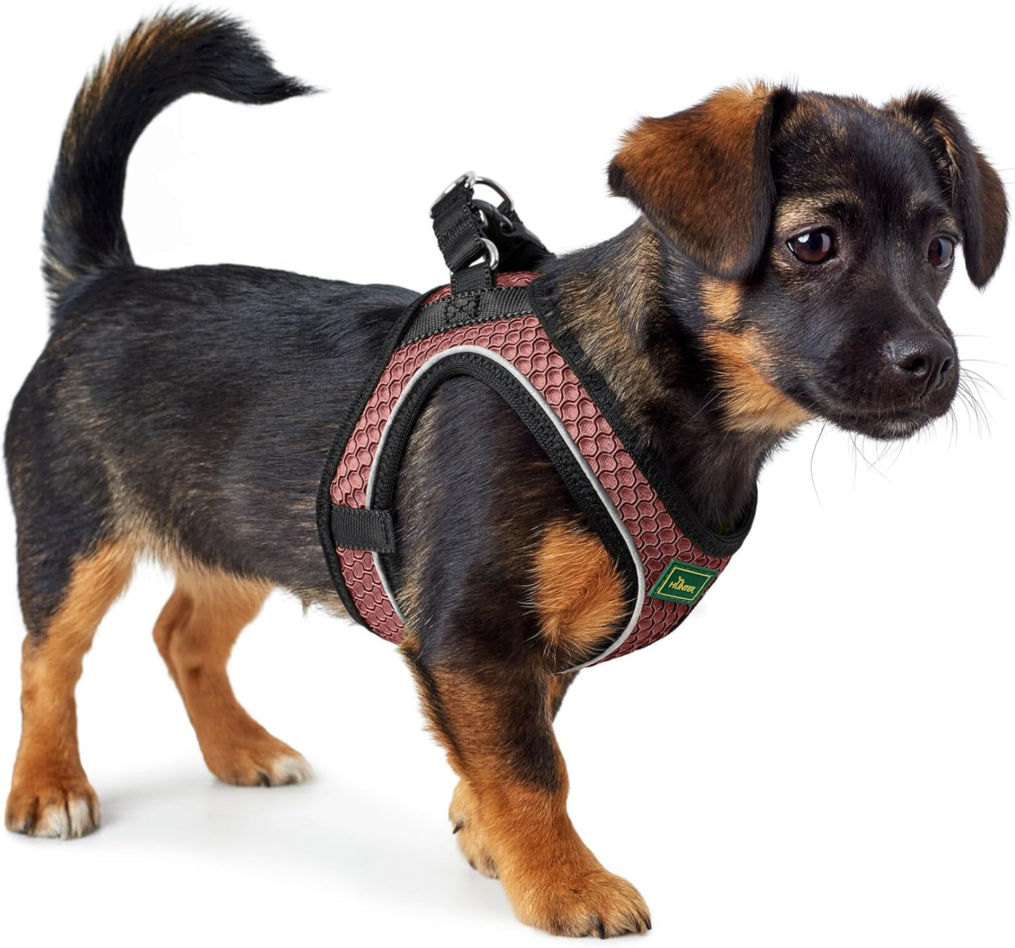 Hundegeschirr Hilo Comfort, altrosa XXS-XS