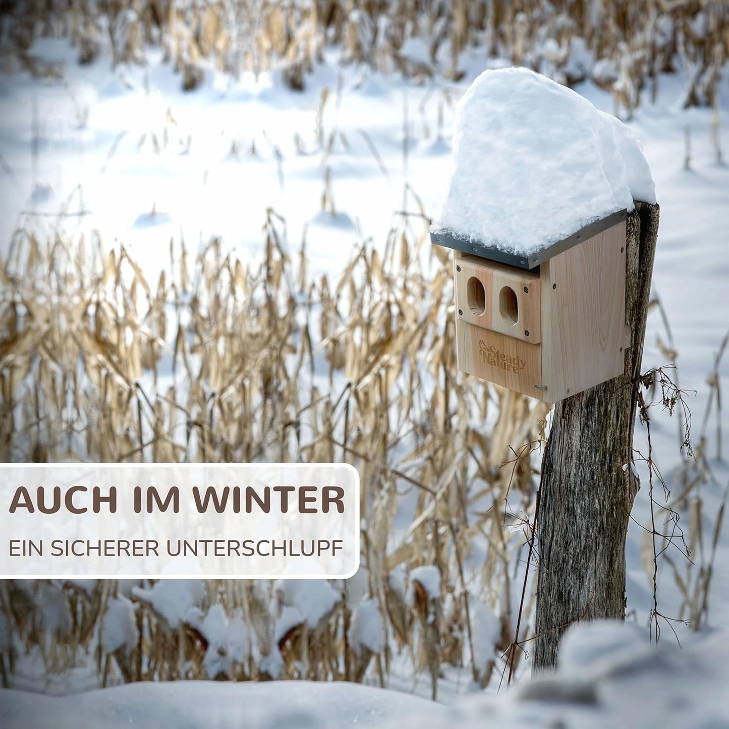 Nistkasten für Vögel, Halbhöhle für Rotkehlchen und Rotschwänzchen