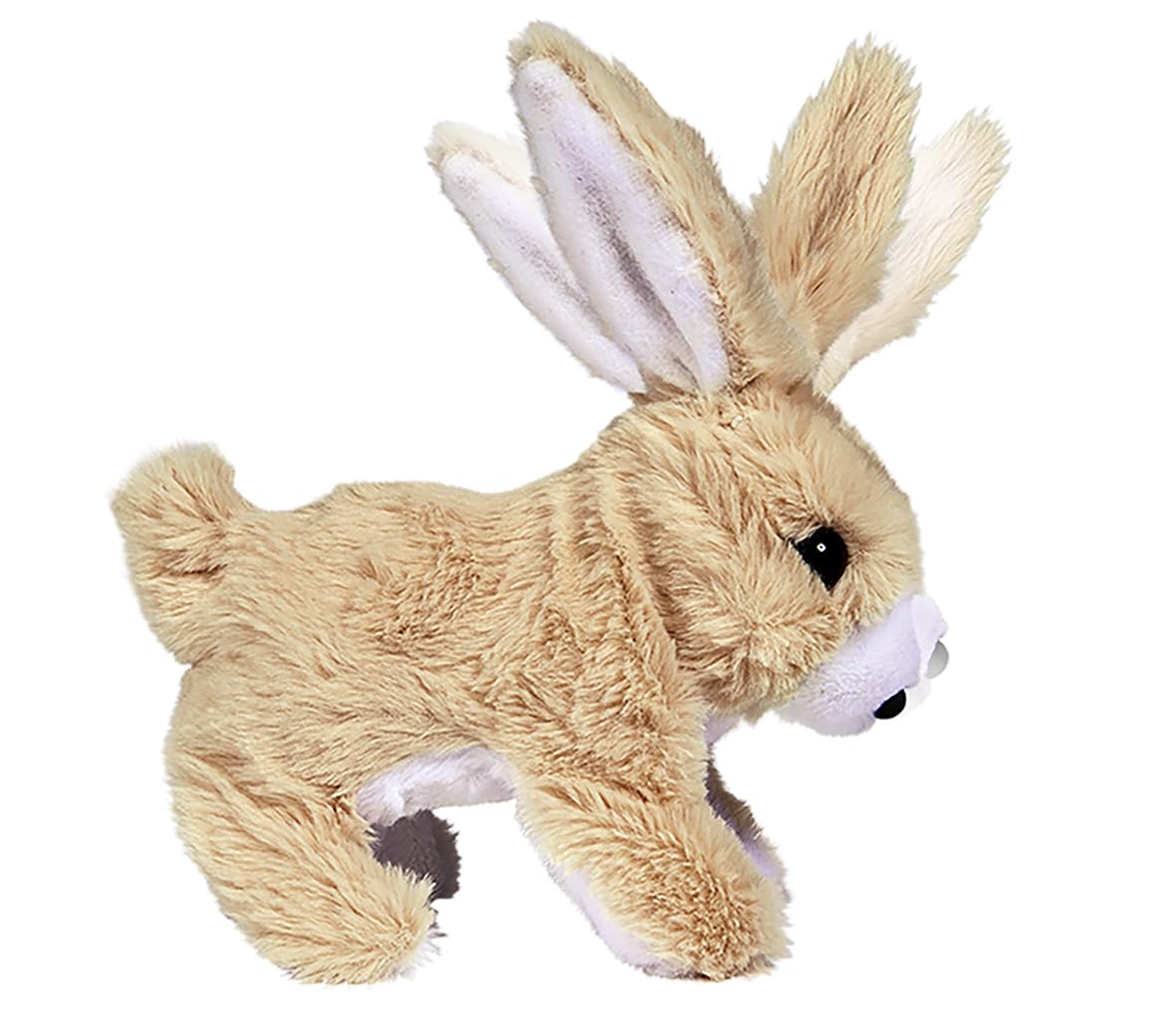 CCL Rabbit