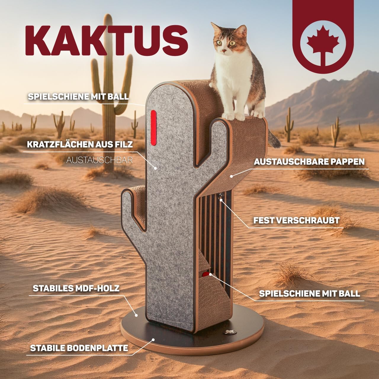 Kratzsäule Kaktus