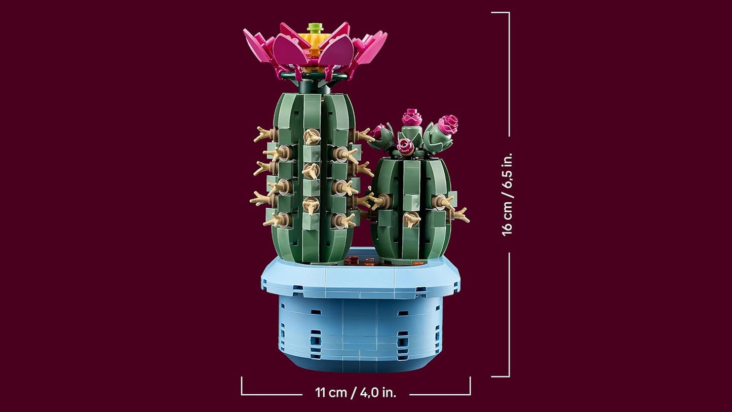 Blühender Kaktus, Flowering Cactus 11509