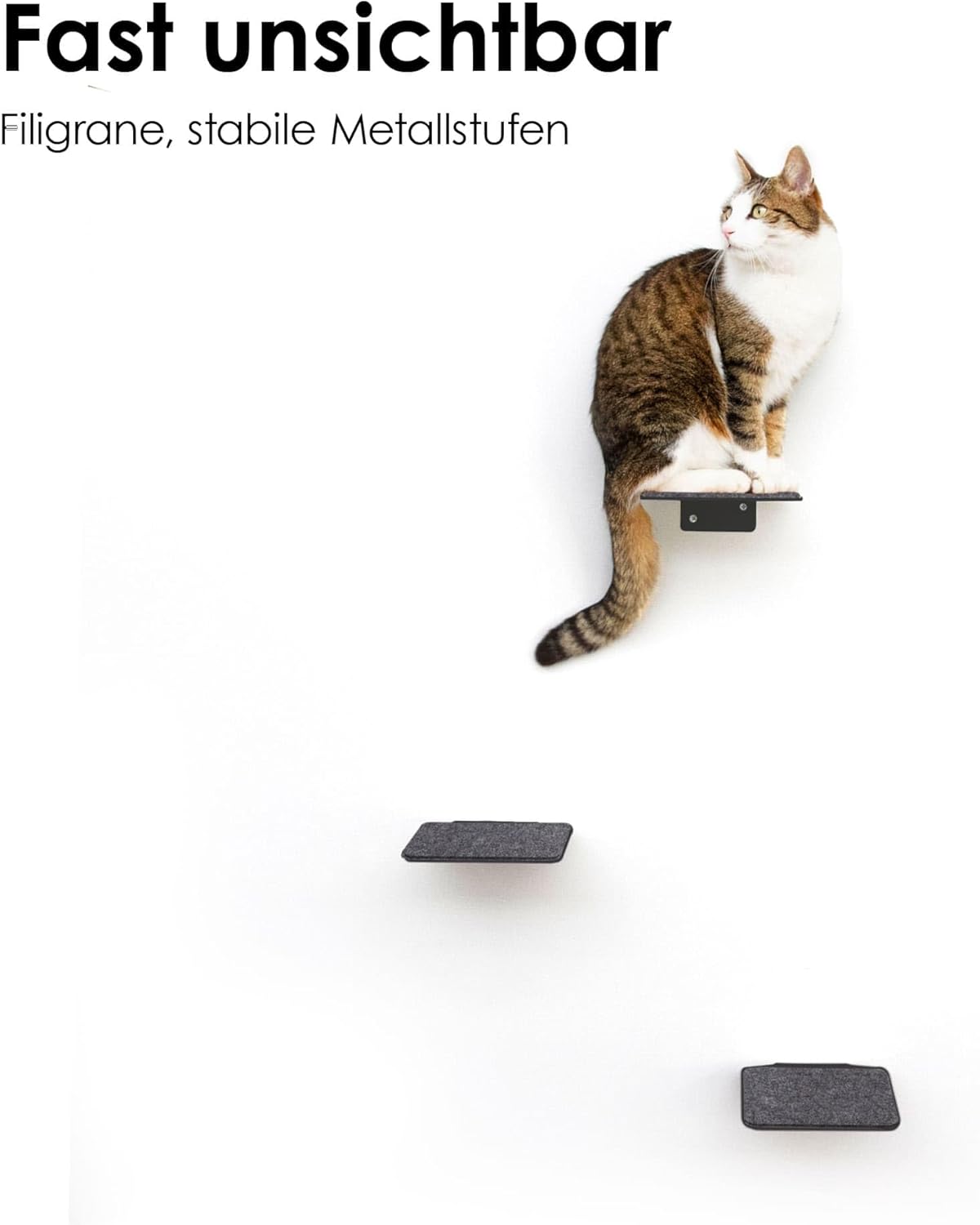 3-teiliges Katzentreppe-Set Steps XL für Kletterwand, XL 24 x 20 cm Anthrazit - Filz