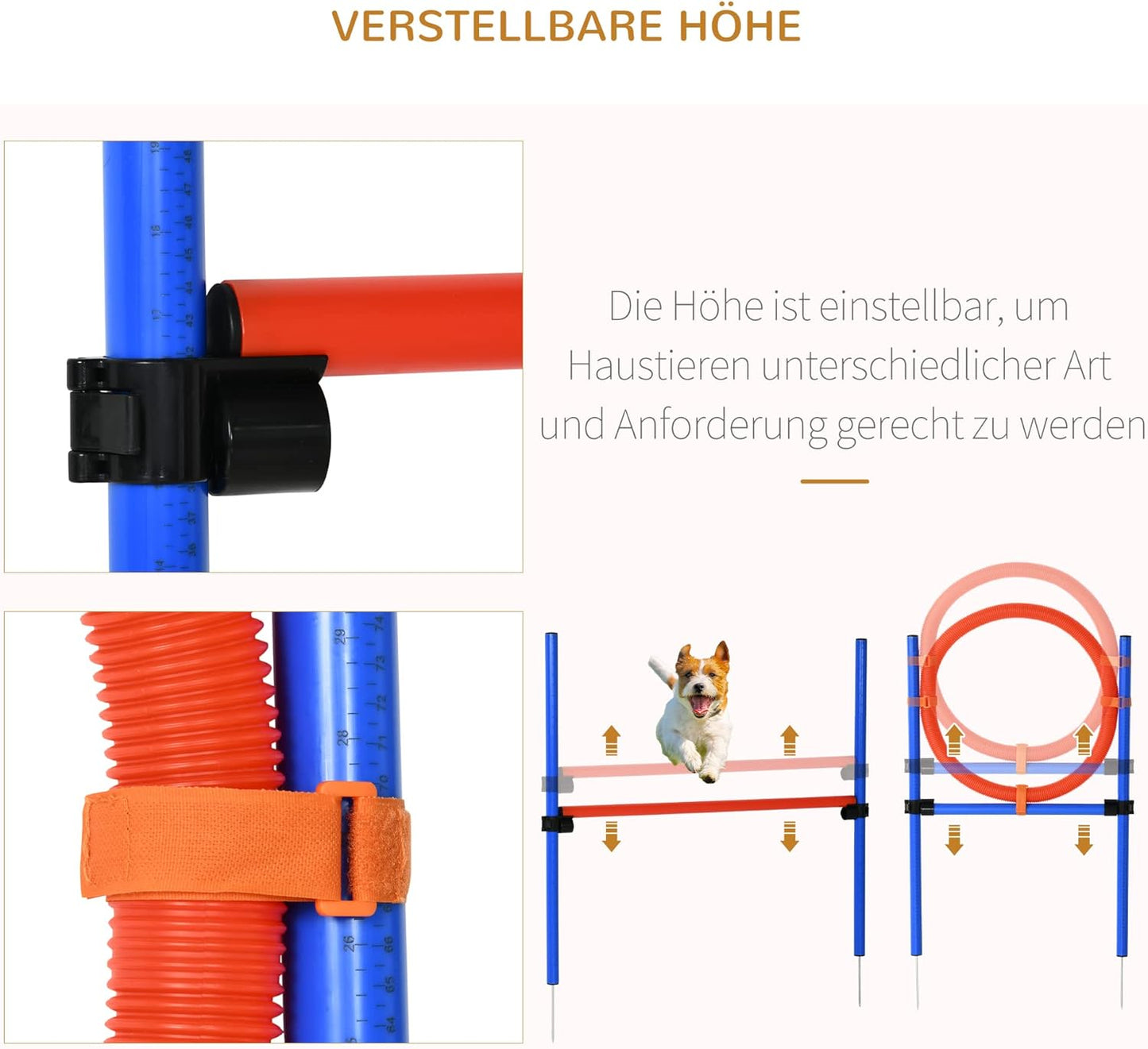 Agility-Übungs-Set Slalom & Hürden