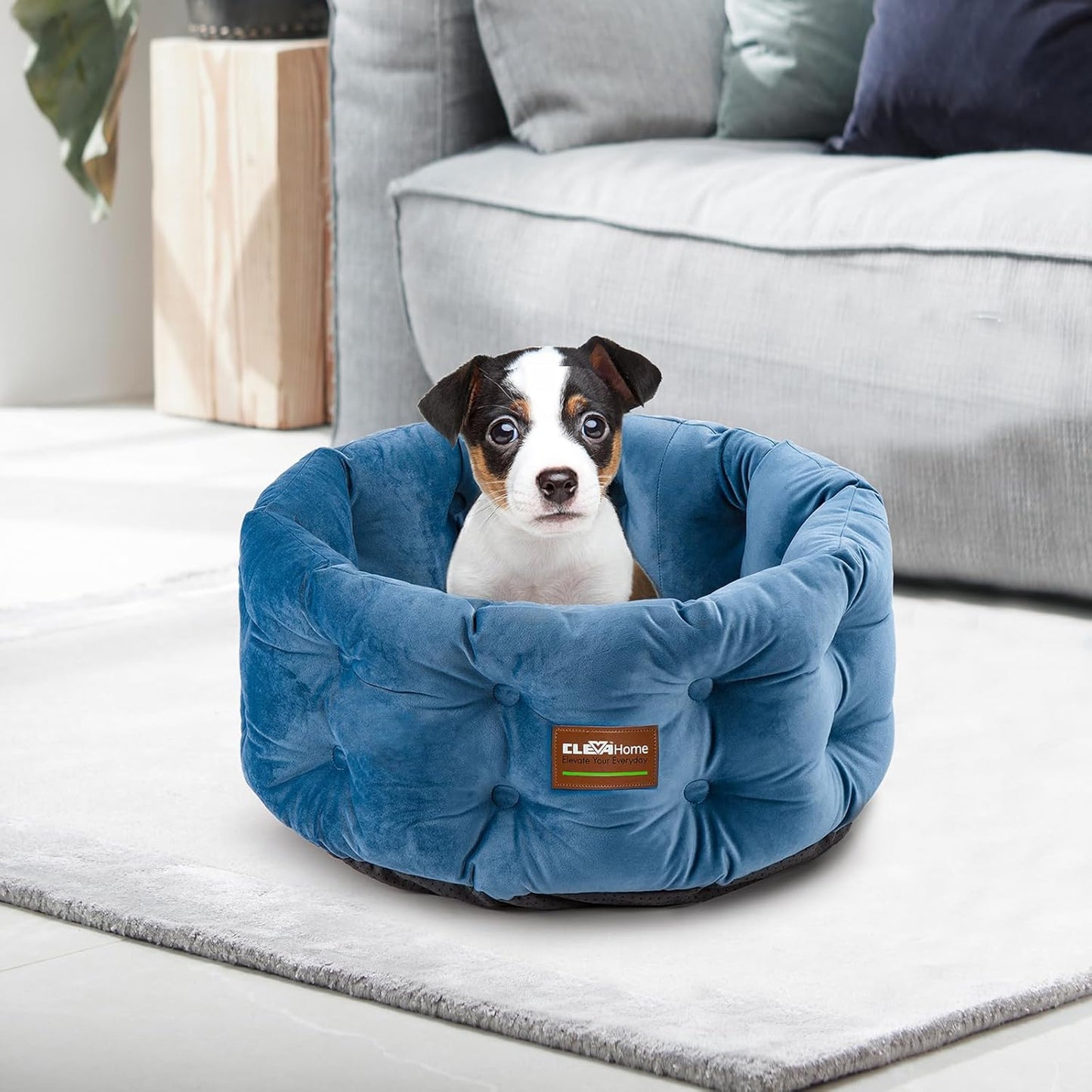 Hunde- und Katzenbett, Stahlblau