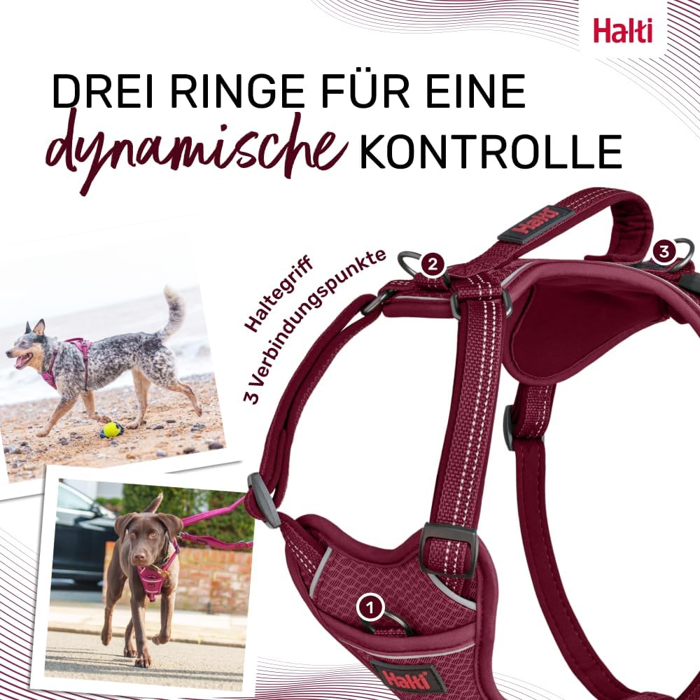 Hundegeschirr Anatomy, Magenta S