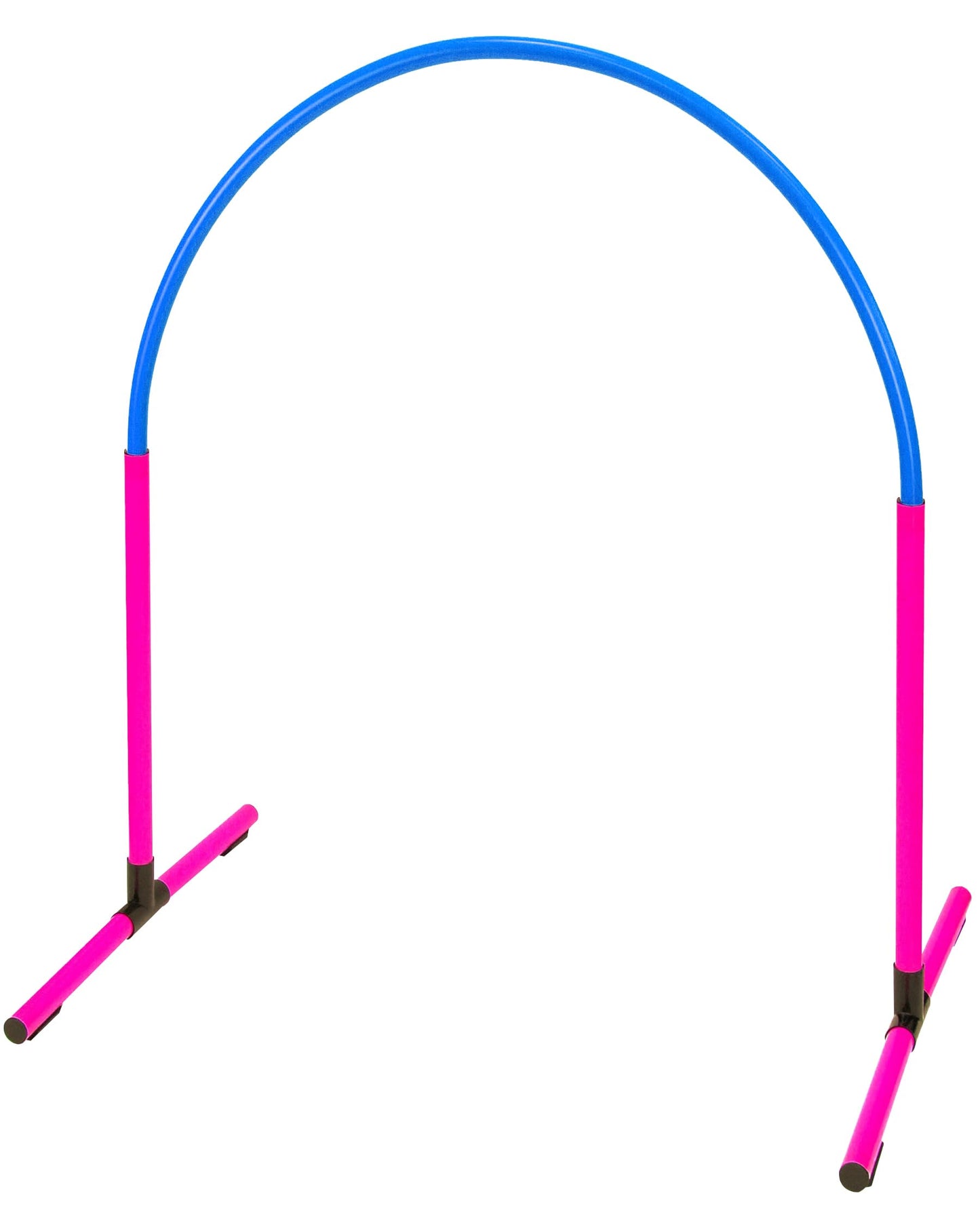 Hundesport-Reifen, Pink/Blau