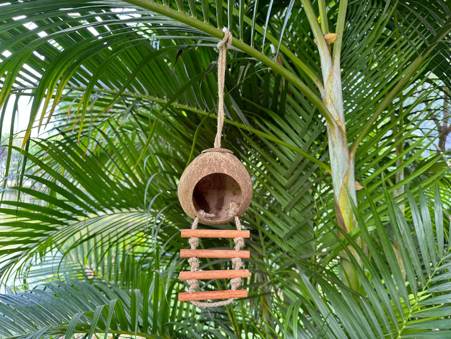 2er-Pack Kokosnuss-Vogelhaus im Leiterstil, 2 Stück