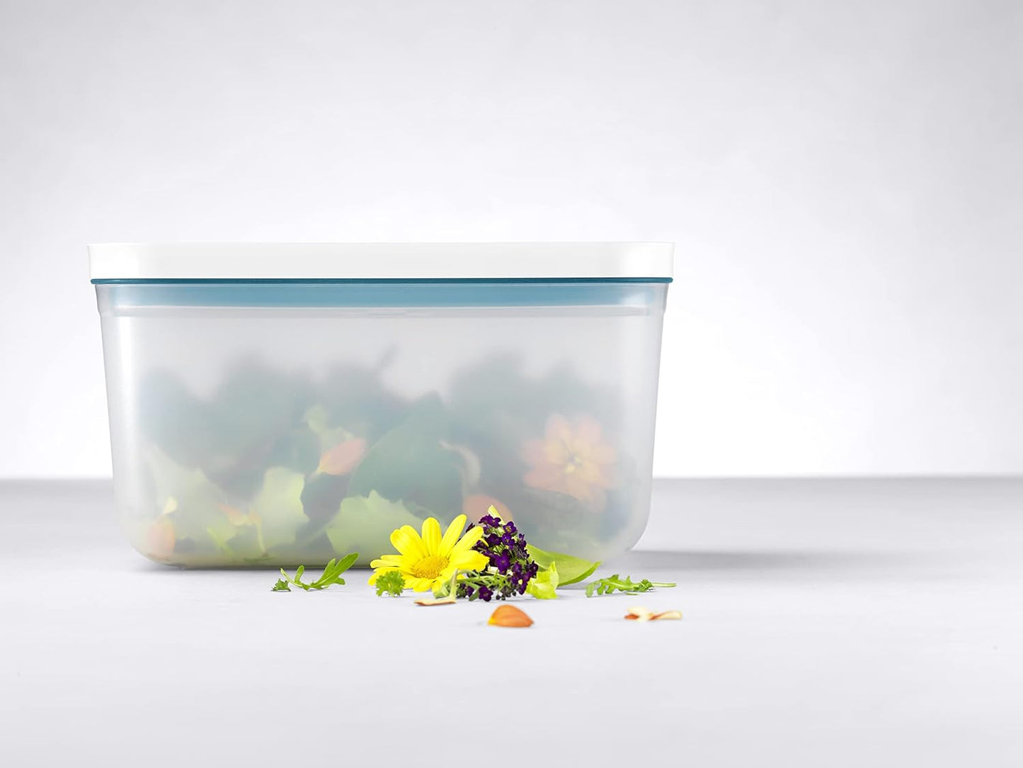 Fresh & Save Vakuumbox, Vakuumbox L Kunststoff