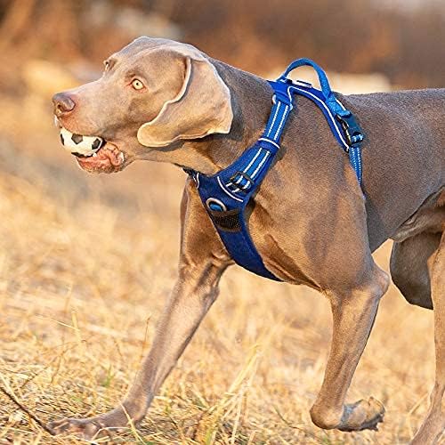 Truelove reflektierendes Hundegeschirr, M Grass Green