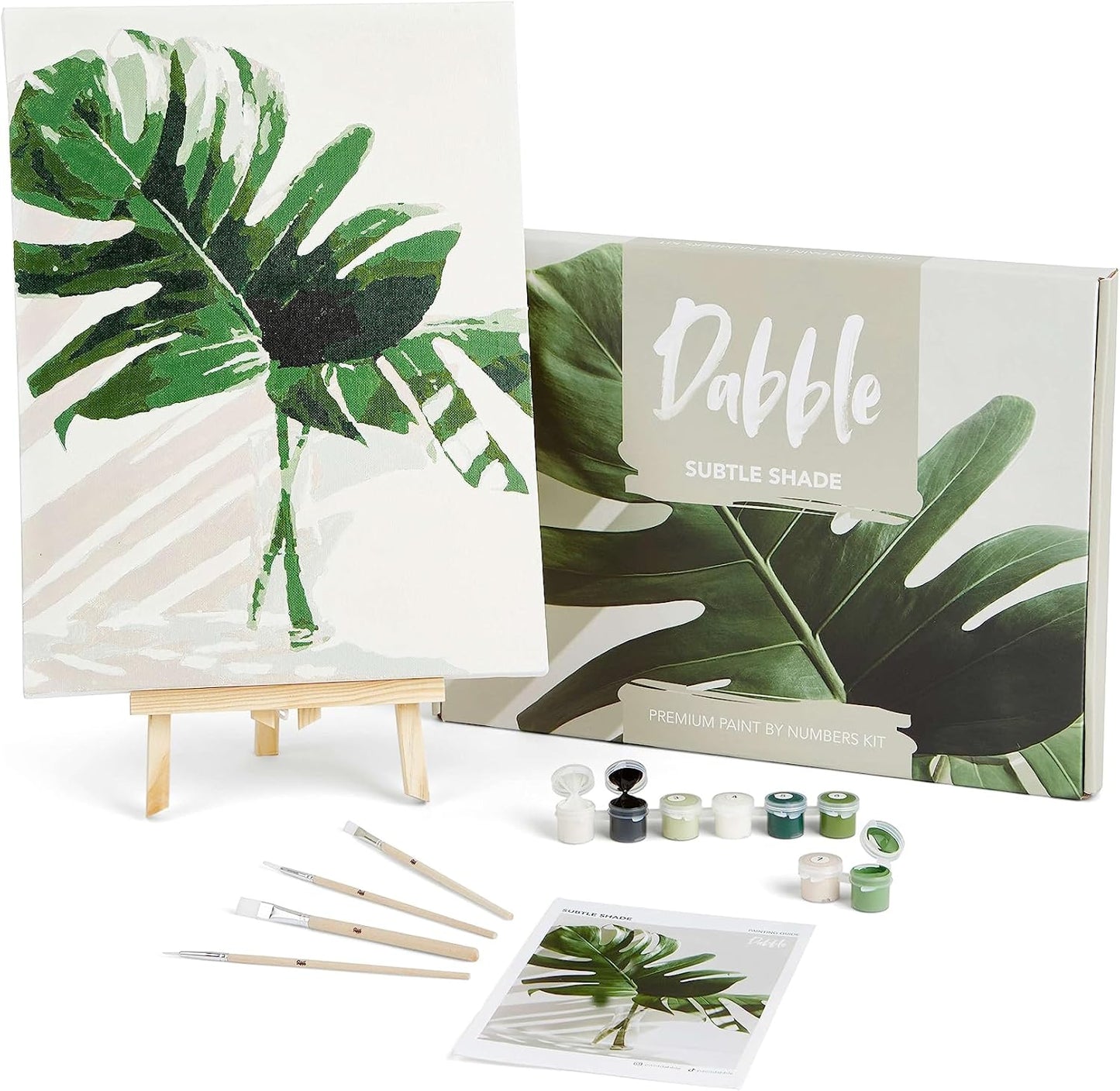 Malen-nach-Zahlen Kit für Erwachsene mit Leinwandrahmen, Subtle Shade