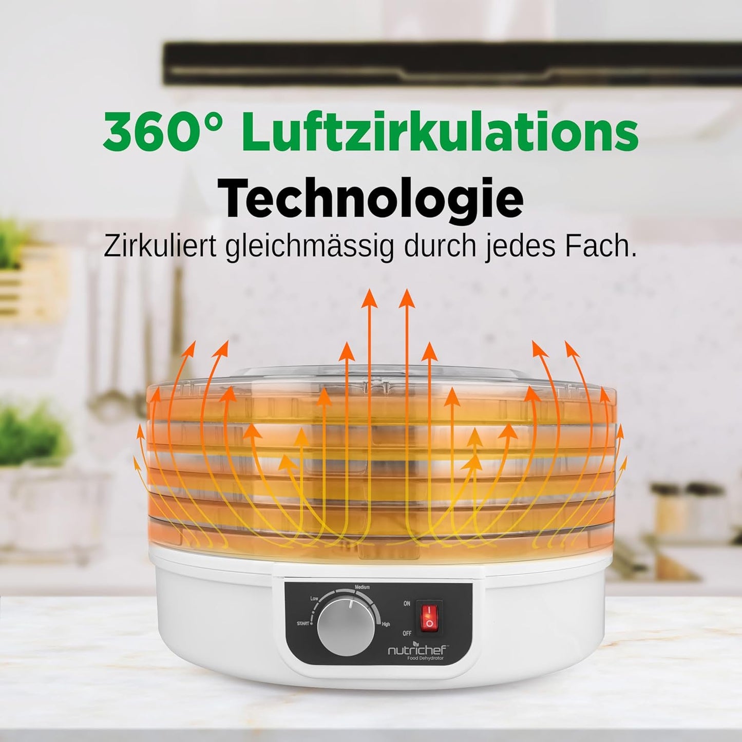 Dörrautomat mit 5 Einschüben, Milchweiss