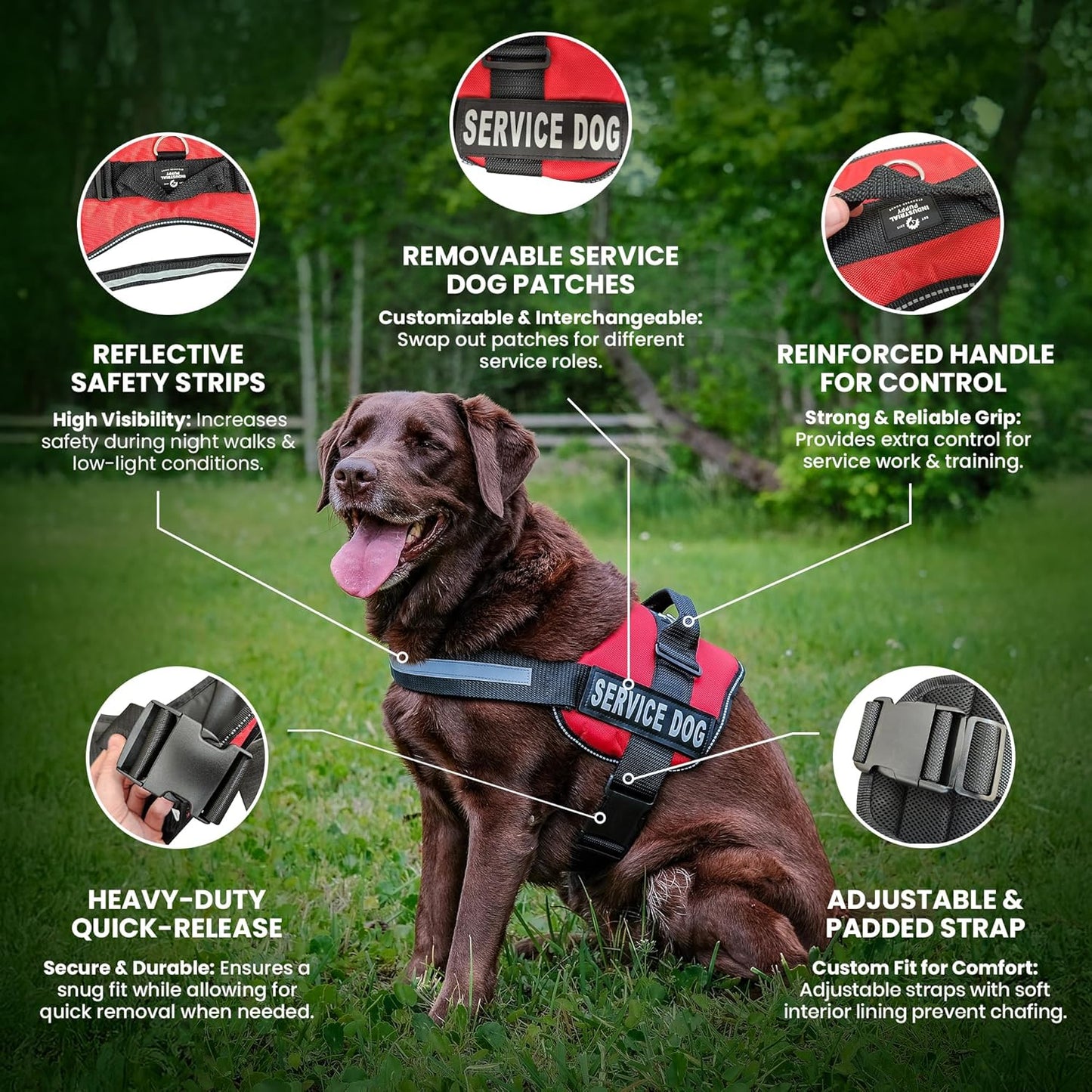 Reflektierendes Hundegeschirr mit Tragegriff, Small, Fits Girth 22.5-26"