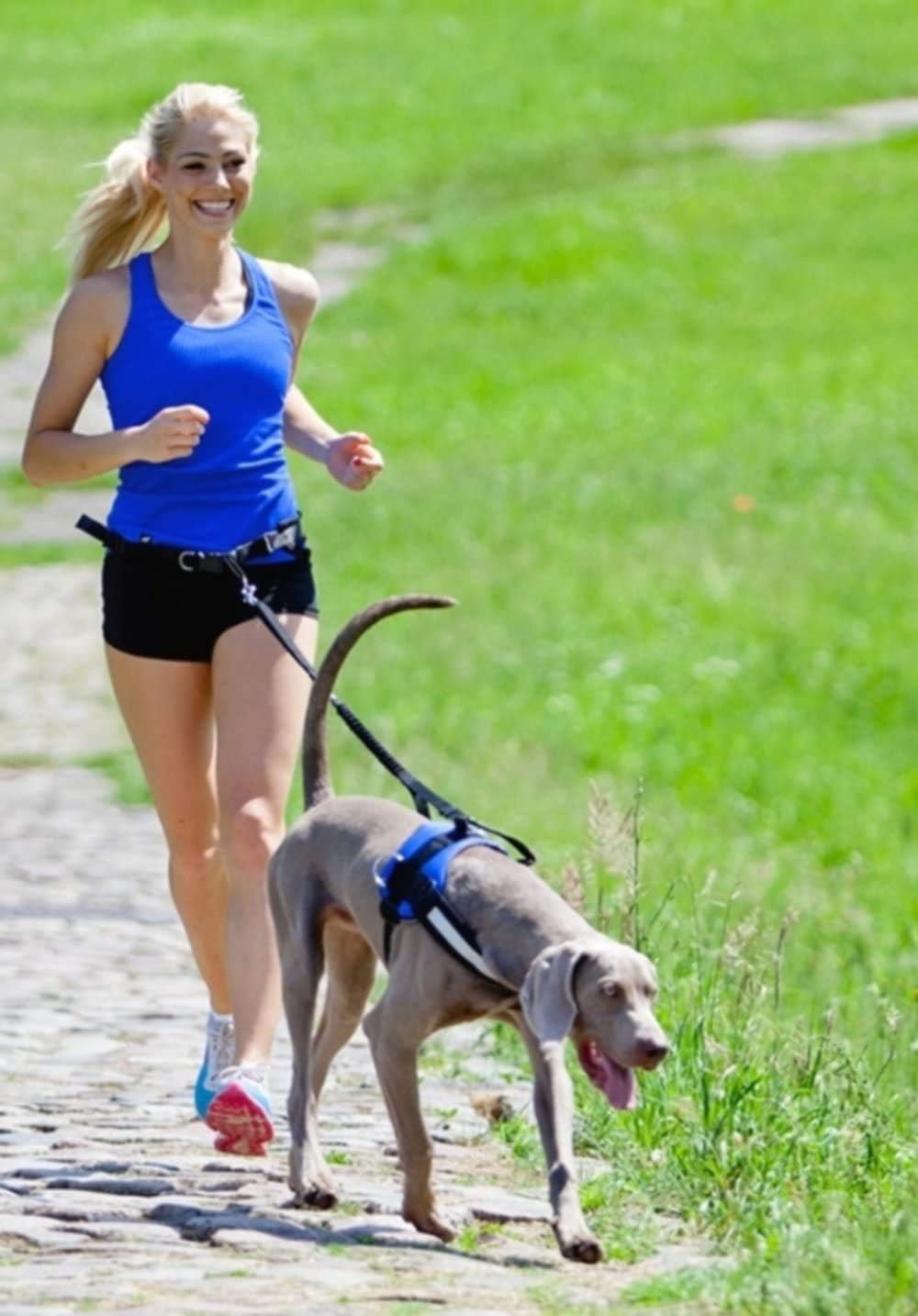 Jogginggurt mit Hundeleine und Stossdämpfer, L/XL (1er Pack) Schwarz
