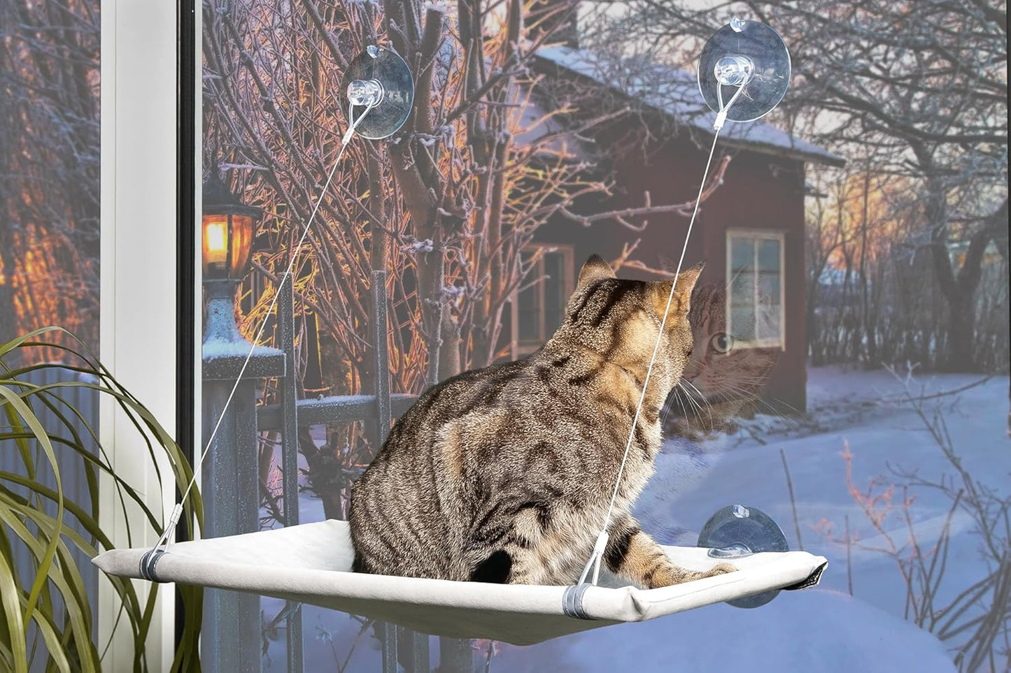 Fensterliege Window Lounger mit Saugnäpfen