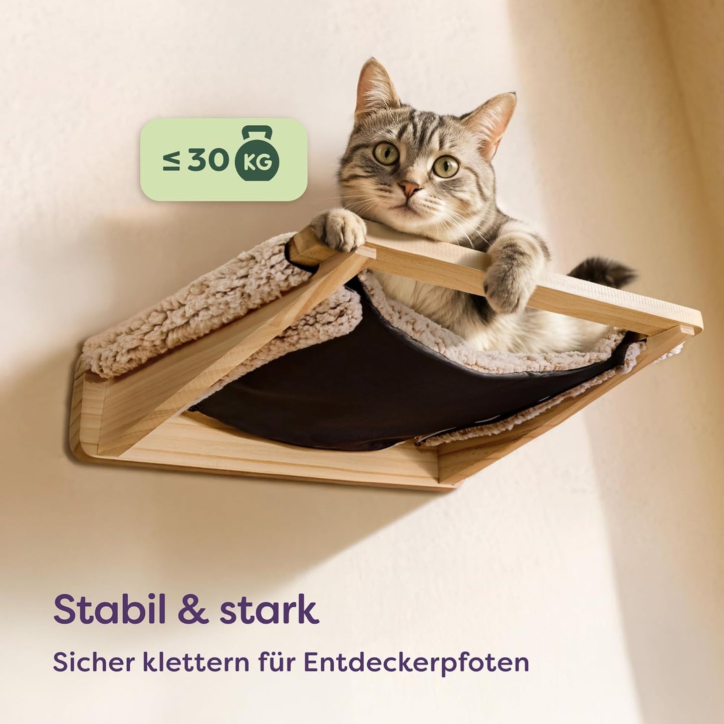 Katzen-Kletterwand-Set mit Hängematte