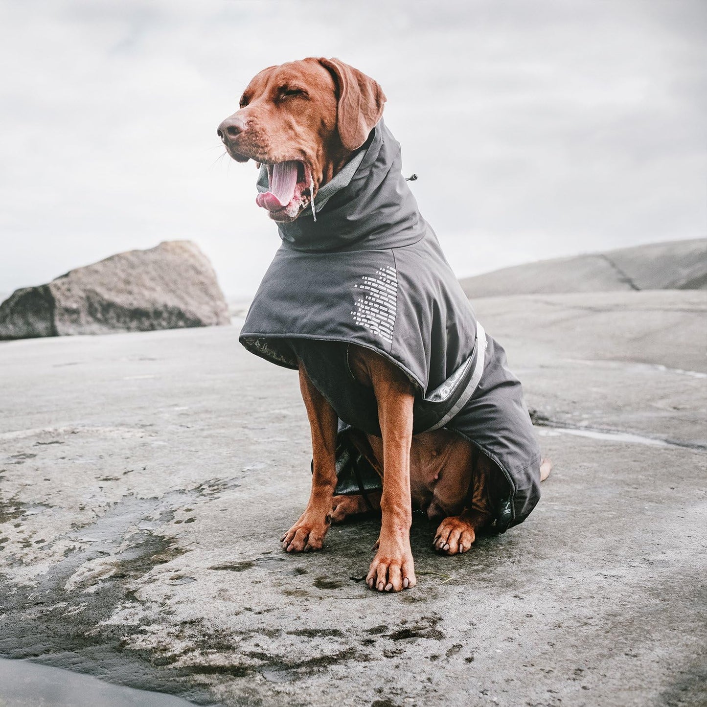 Warmer Hundemantel, 22 in grau