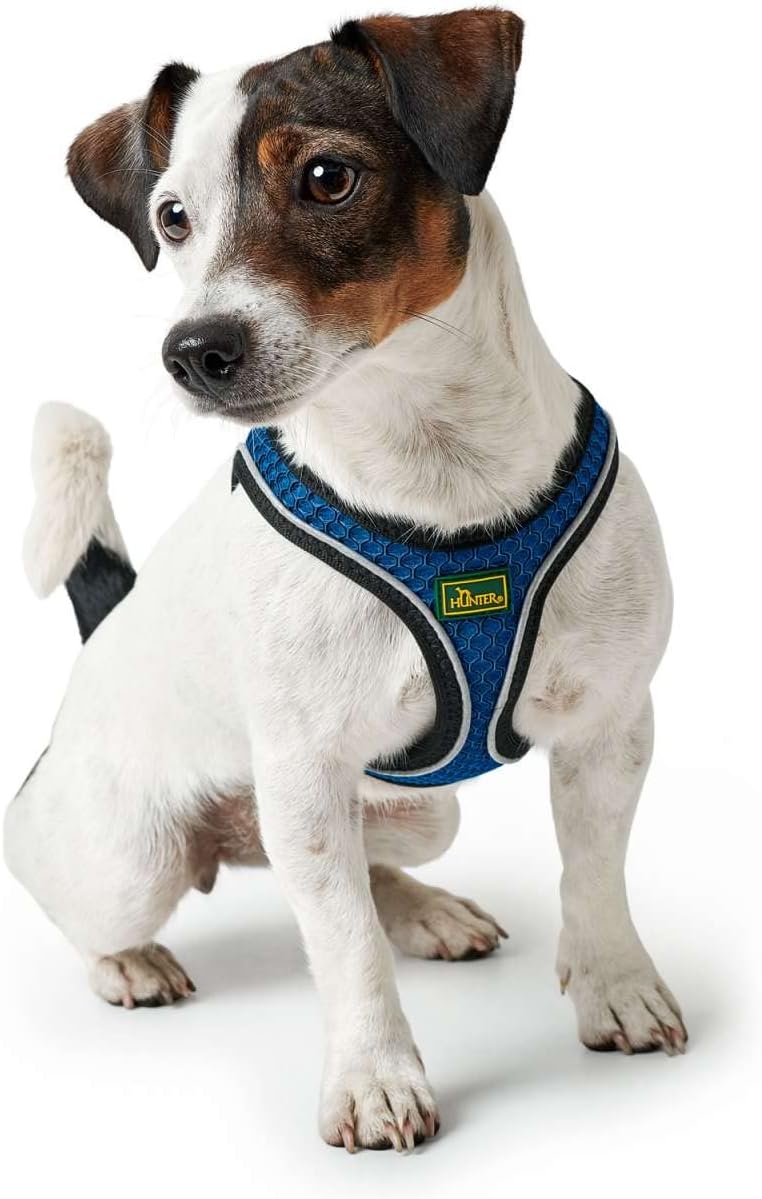 Hilo Comfort Hundegeschirr, Blau ; M-L
