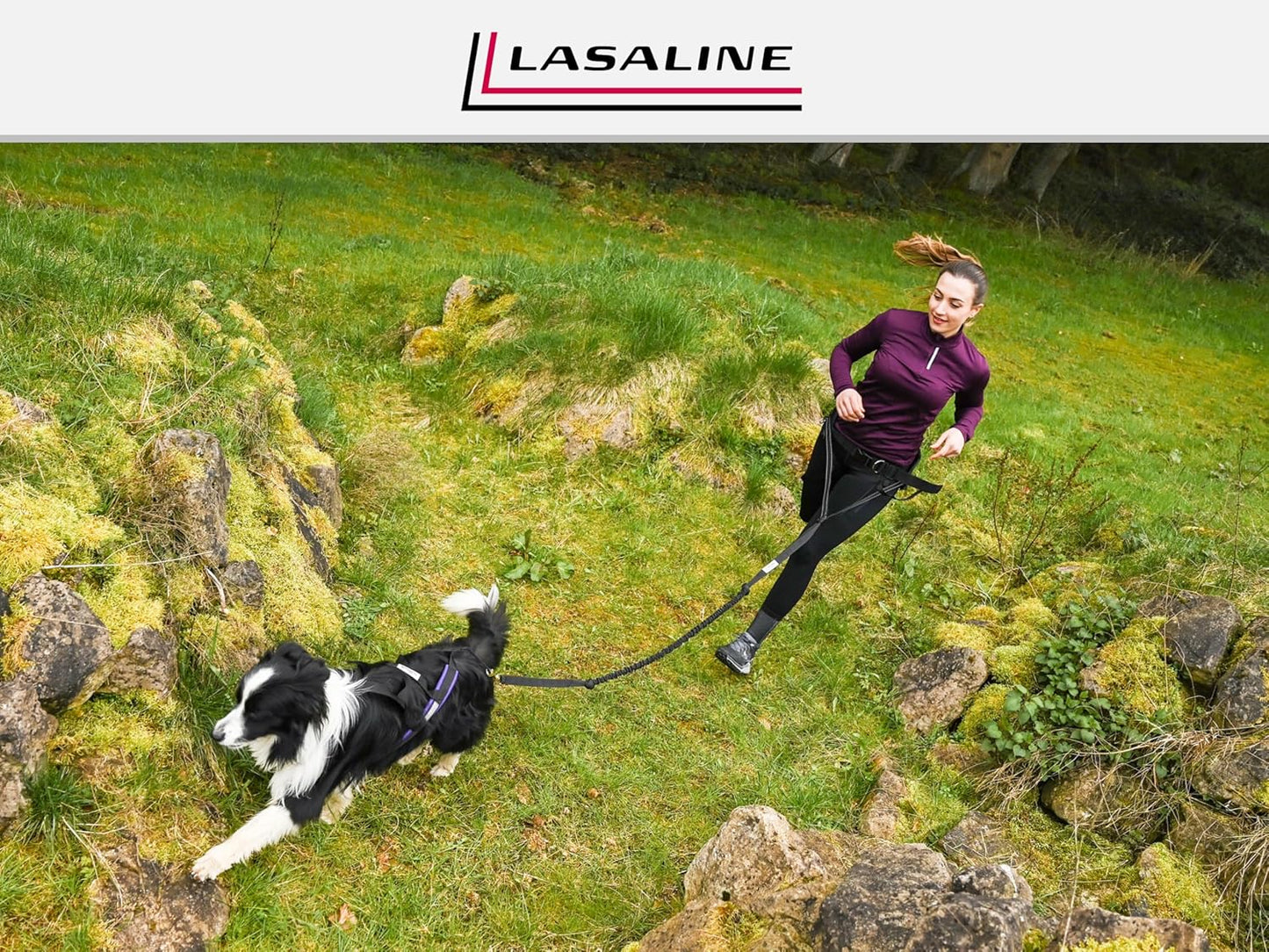 Zuggeschirr X Back für Canicross & Hundesport, S