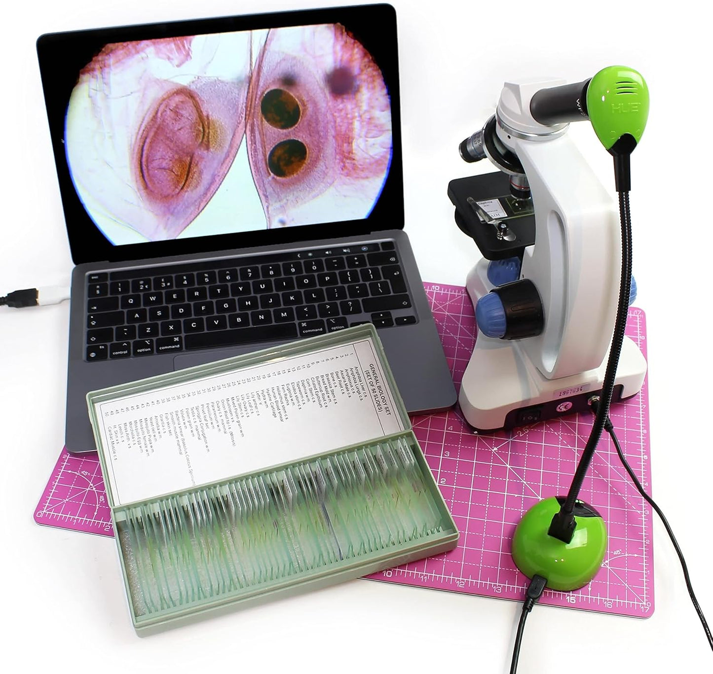 Mobile USB Kamera und Visualizer mit Tragetasche, Kamera in Grün mit Tragetasche