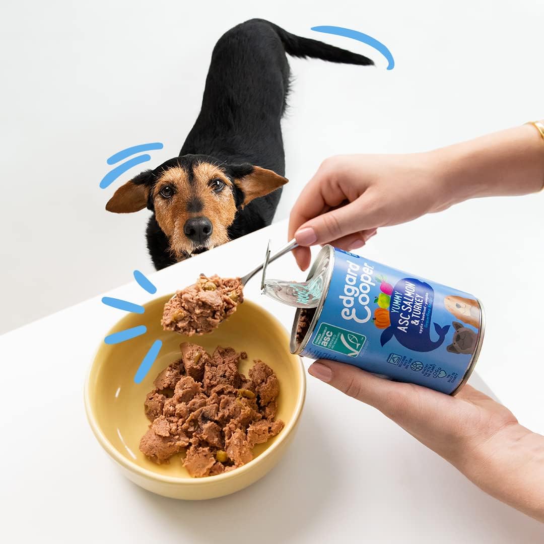 Hundefutter nass, Lachs ASC/Truthahn