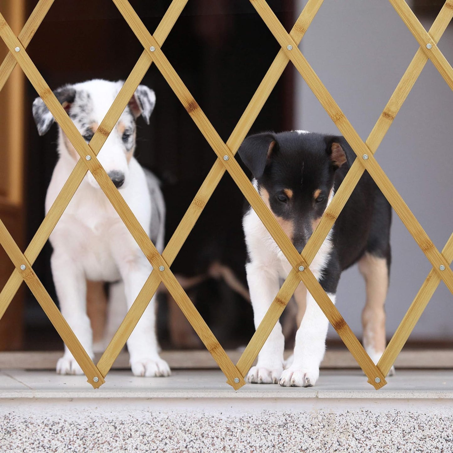Hundeabsperrgitter, L
