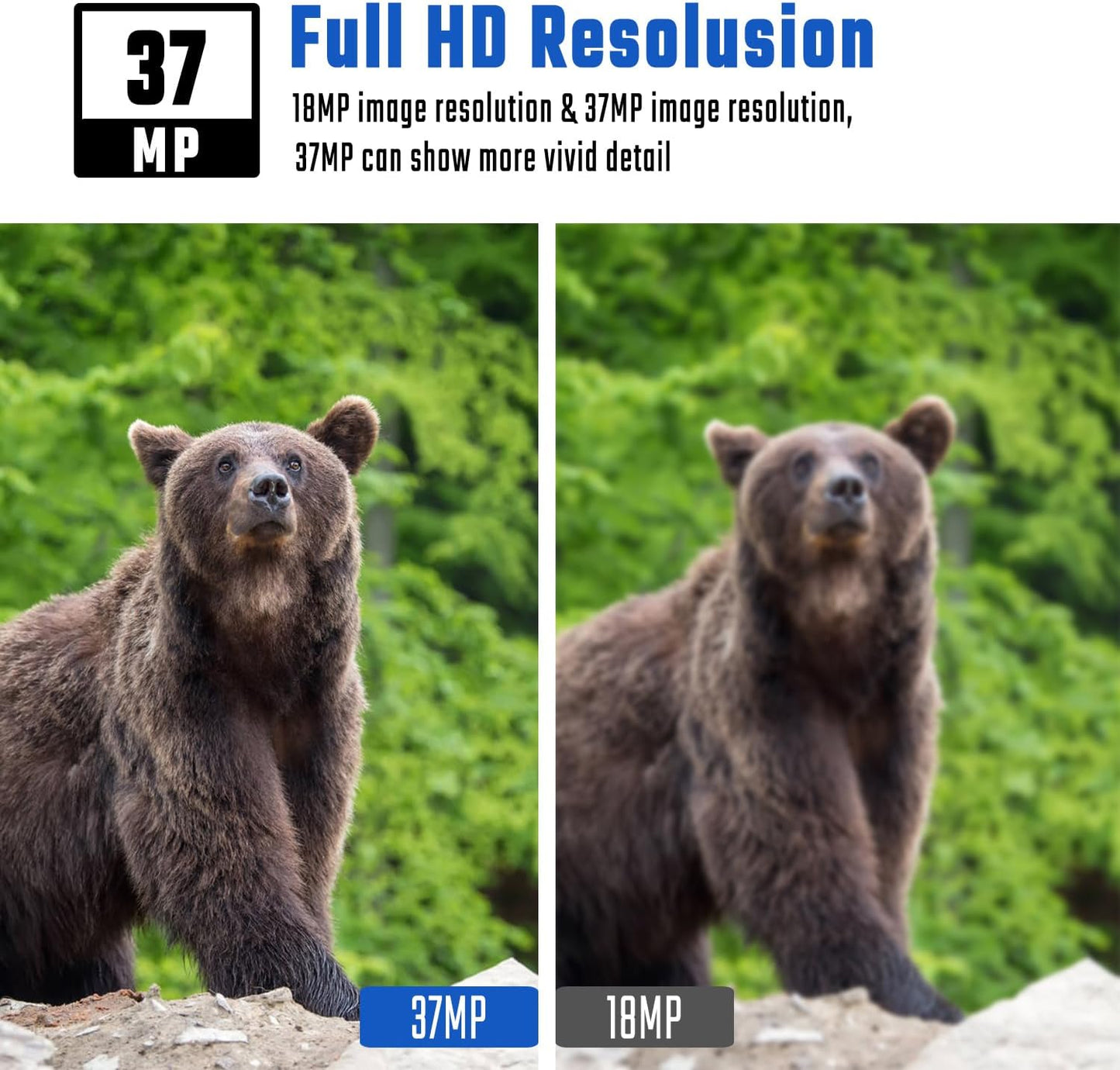 Wildkamera ‎BG410-MS
