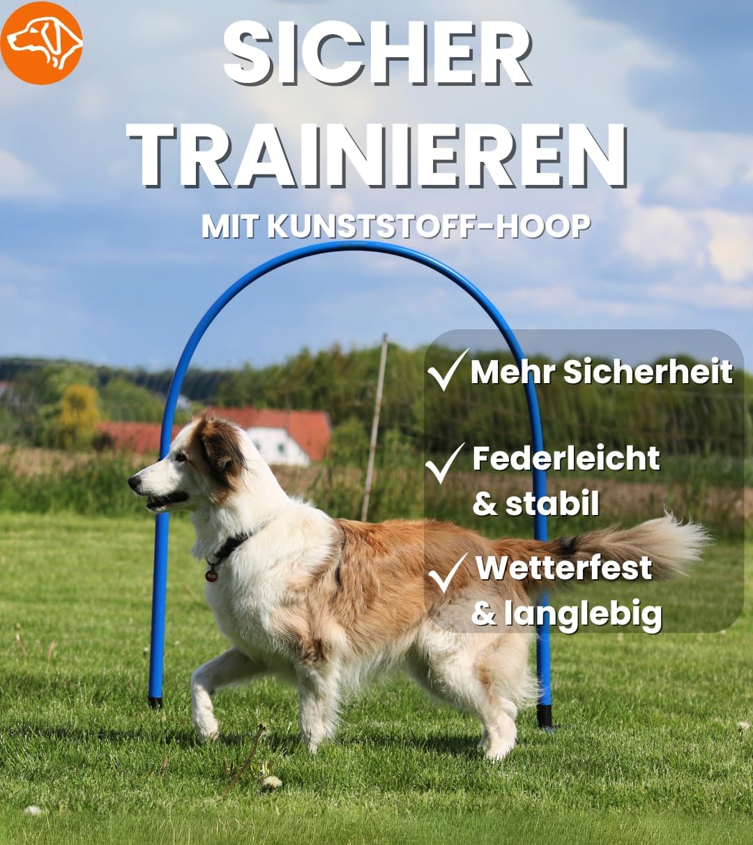 Hoopers-Agility Trainingsbogen für Hunde, Blau/Blau